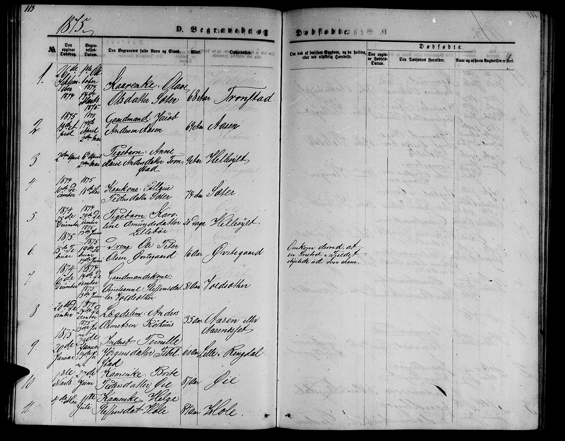 Ministerialprotokoller, klokkerbøker og fødselsregistre - Møre og Romsdal, AV/SAT-A-1454/517/L0229: Parish register (copy) no. 517C02, 1864-1879, p. 113