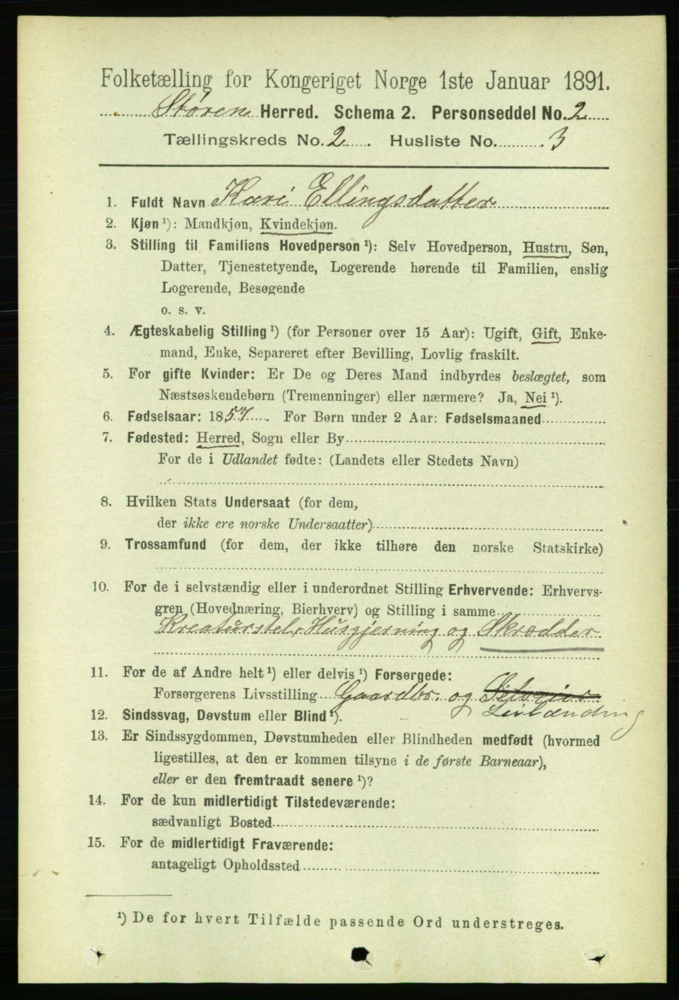 RA, 1891 census for 1648 Støren, 1891, p. 427