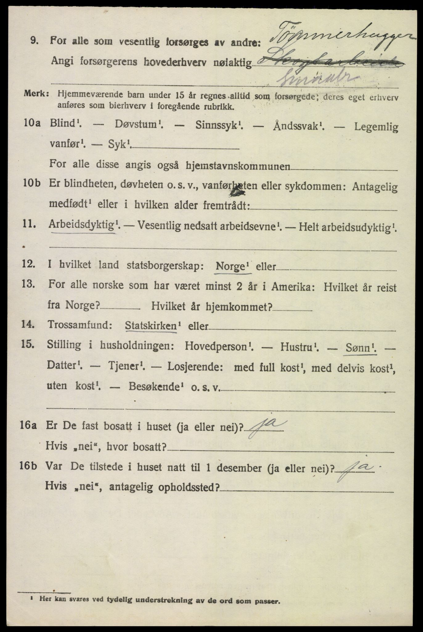 SAH, 1920 census for Snertingdal, 1920, p. 4272