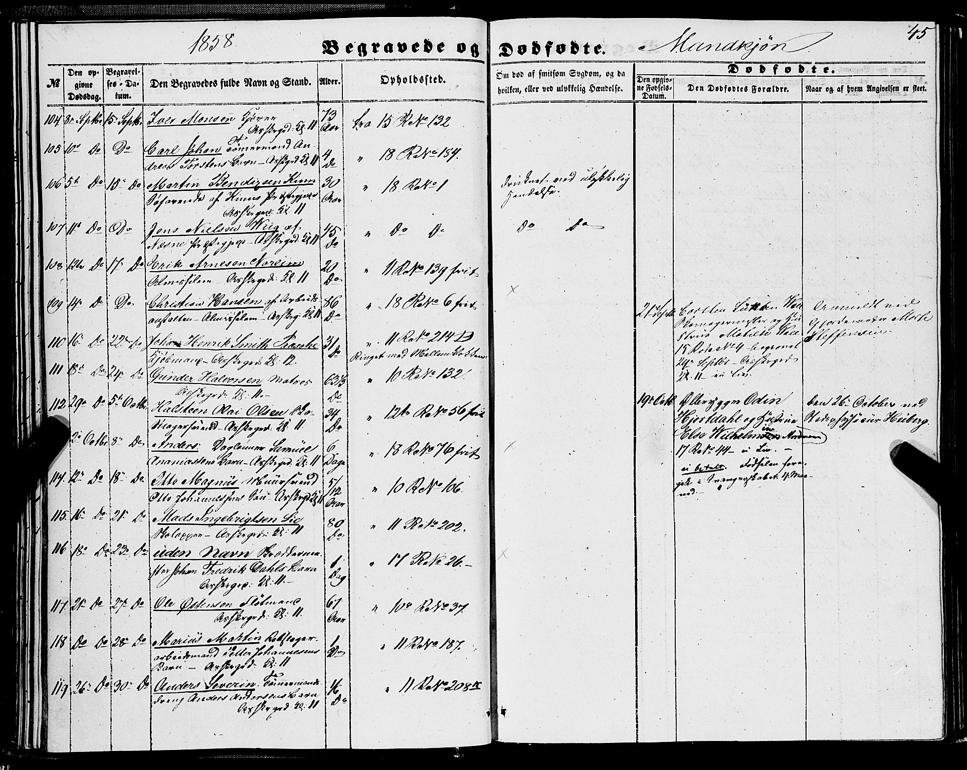 Domkirken sokneprestembete, AV/SAB-A-74801/H/Haa/L0041: Parish register (official) no. E 2, 1853-1863, p. 45