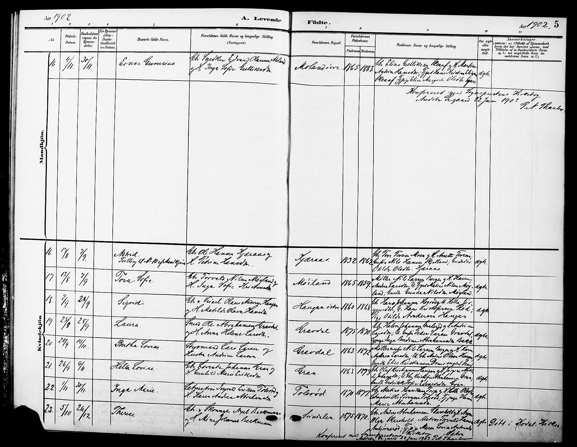 Andebu kirkebøker, AV/SAKO-A-336/G/Ga/L0005: Parish register (copy) no. I 5, 1901-1925, p. 5