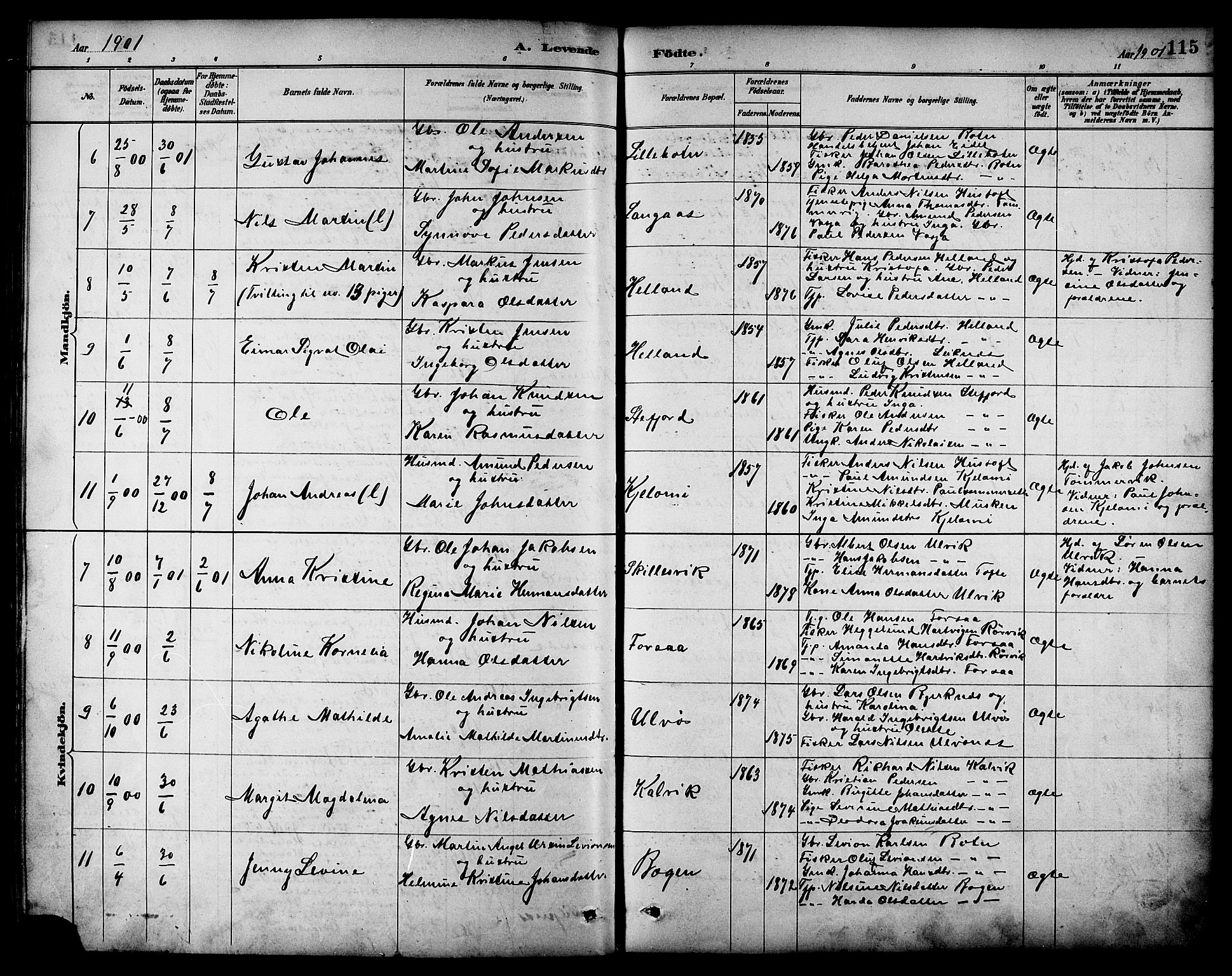 Ministerialprotokoller, klokkerbøker og fødselsregistre - Nordland, AV/SAT-A-1459/861/L0869: Parish register (official) no. 861A04, 1889-1903, p. 115