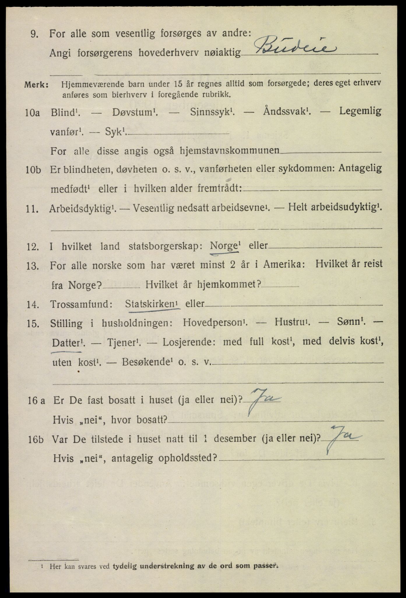 SAH, 1920 census for Vang (Hedmark), 1920, p. 18602