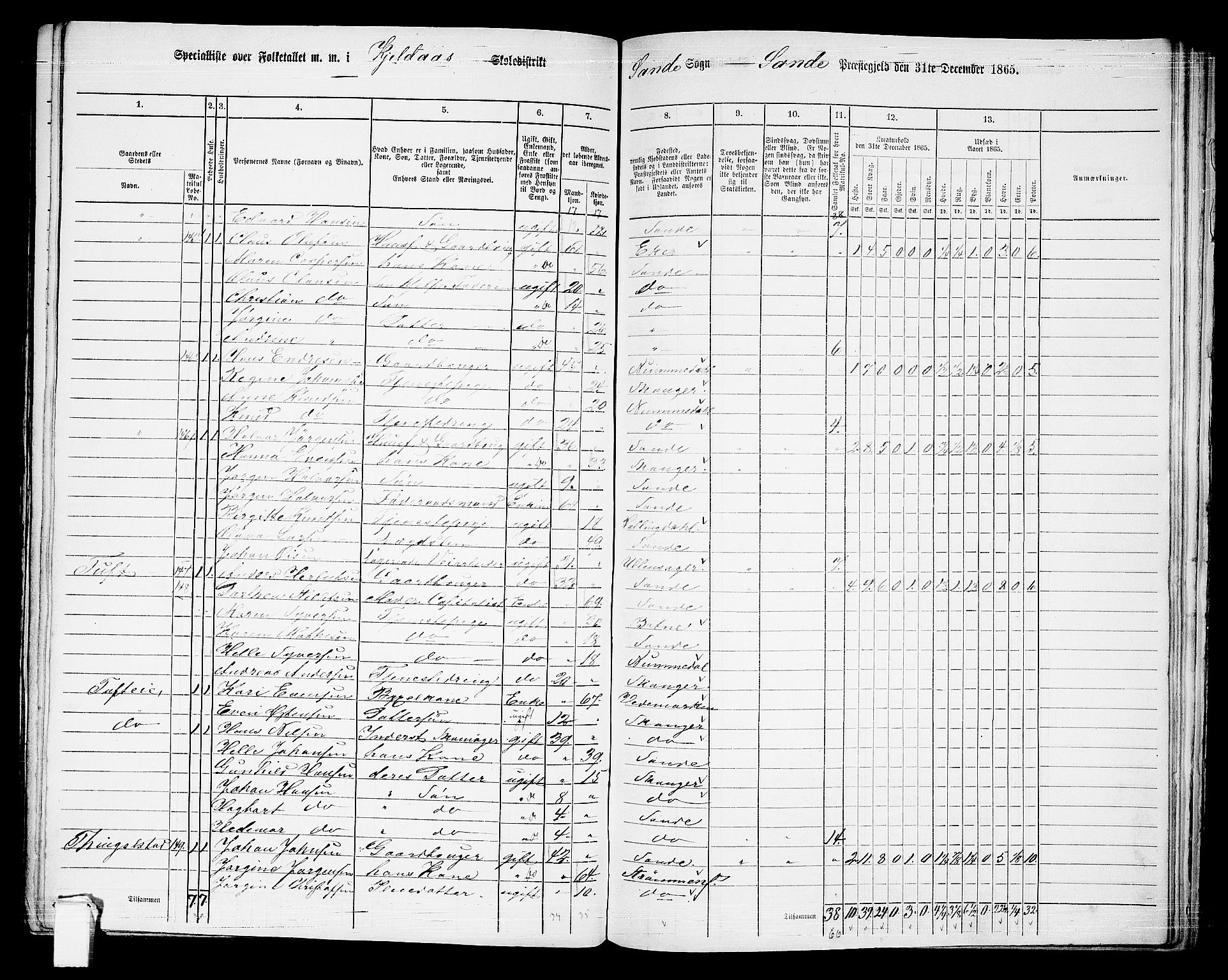 RA, 1865 census for Sande, 1865, p. 89