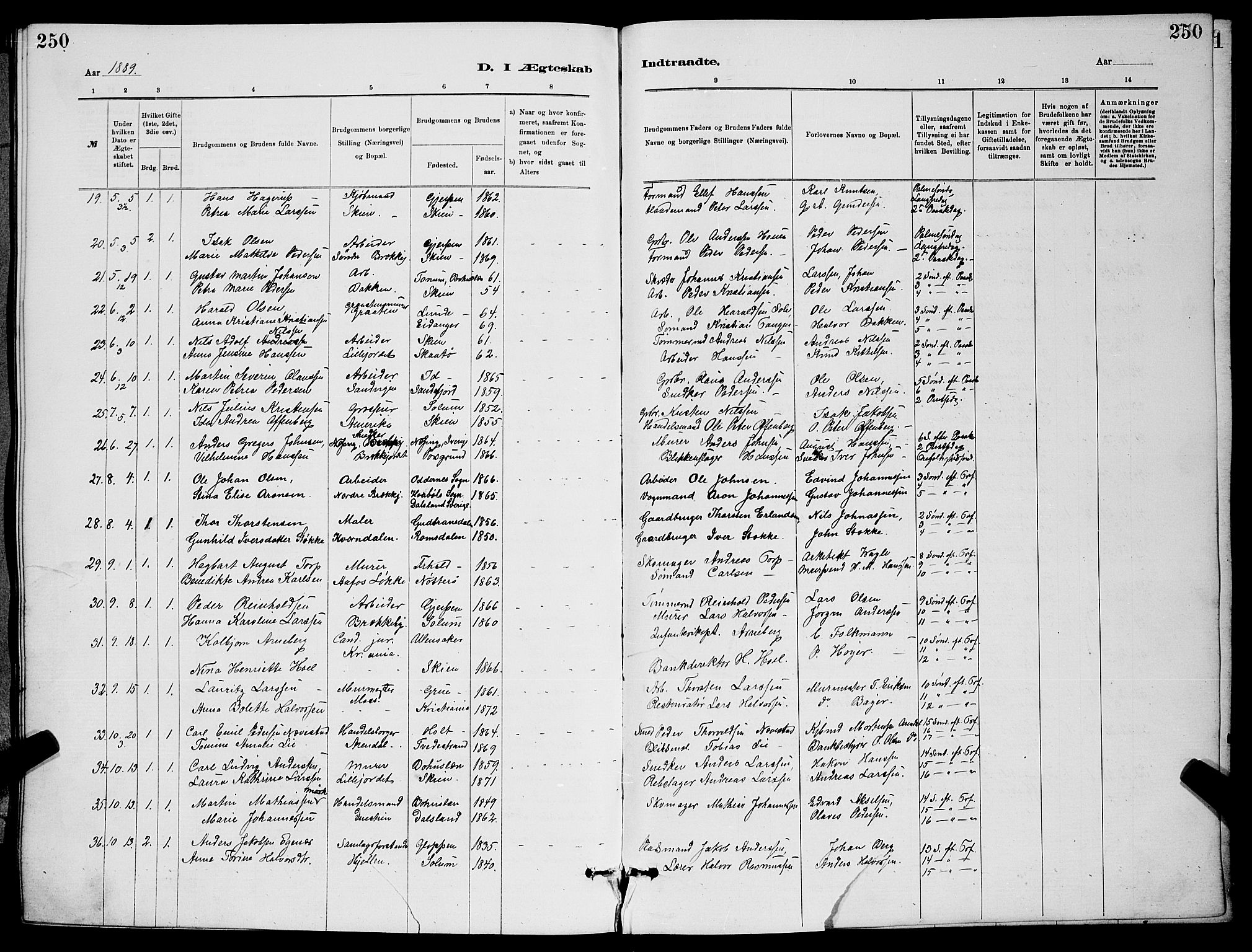 Skien kirkebøker, SAKO/A-302/G/Ga/L0006: Parish register (copy) no. 6, 1881-1890, p. 250