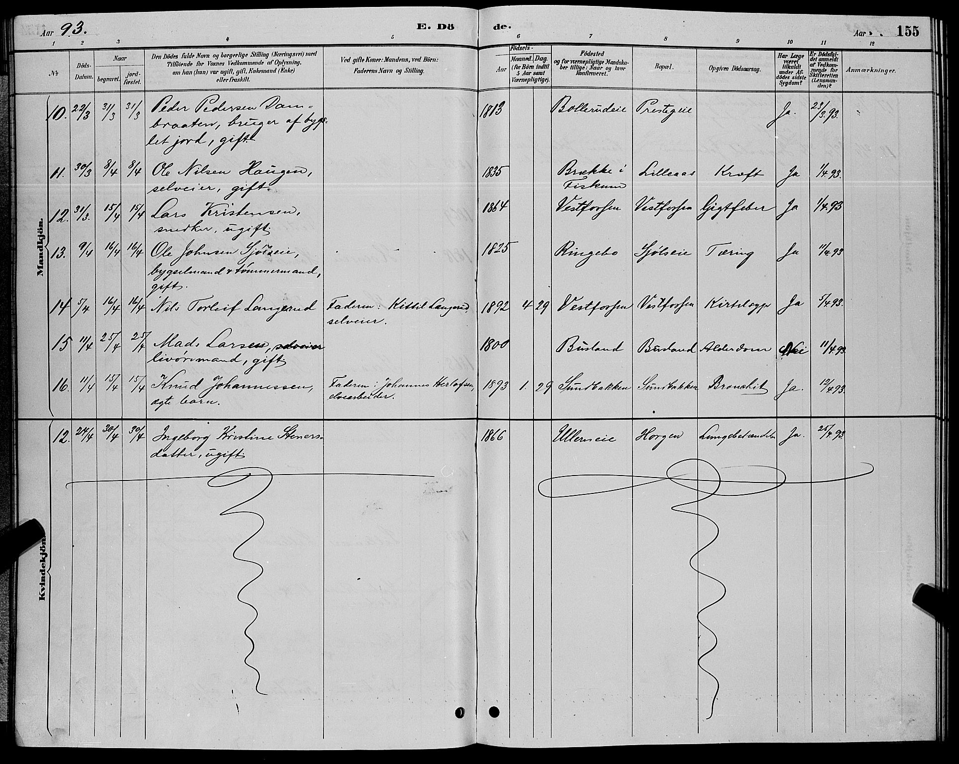 Eiker kirkebøker, AV/SAKO-A-4/G/Ga/L0006: Parish register (copy) no. I 6, 1885-1893, p. 155