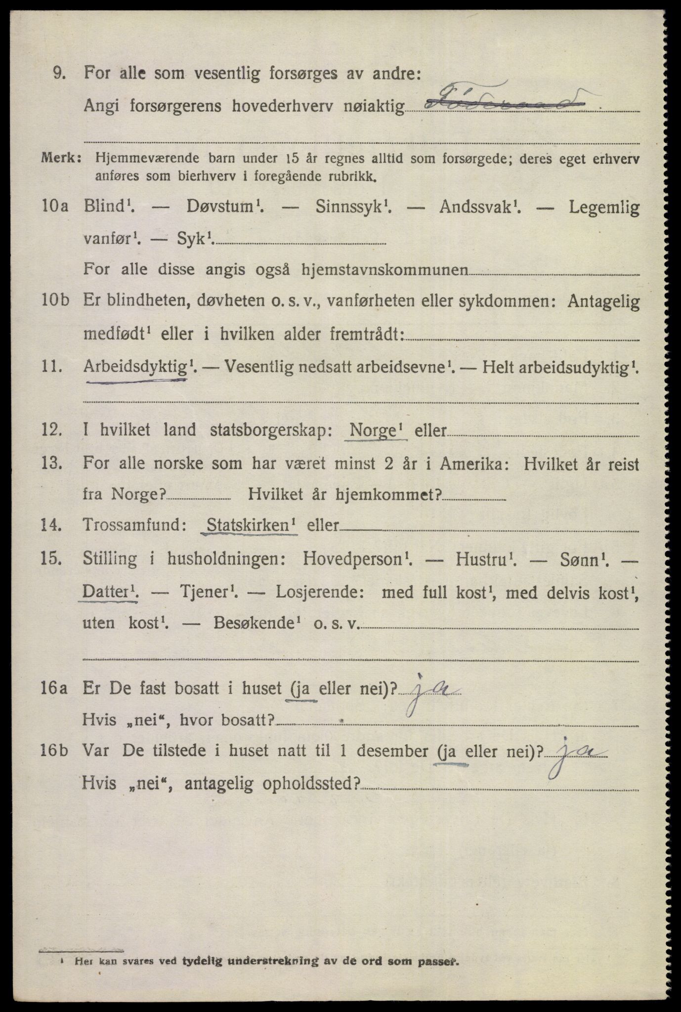 SAKO, 1920 census for Hemsedal, 1920, p. 691