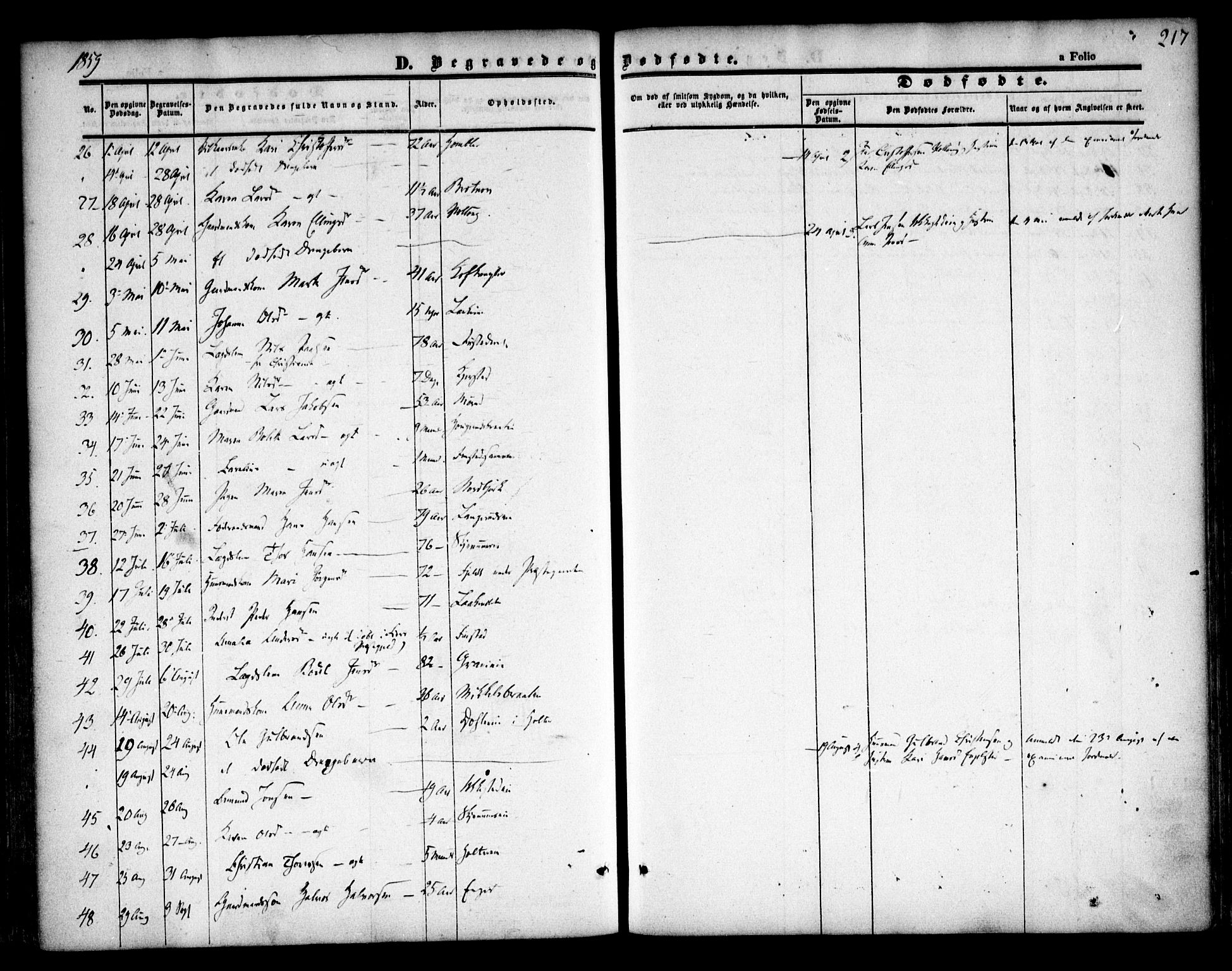 Nannestad prestekontor Kirkebøker, SAO/A-10414a/F/Fa/L0011: Parish register (official) no. I 11, 1850-1859, p. 217