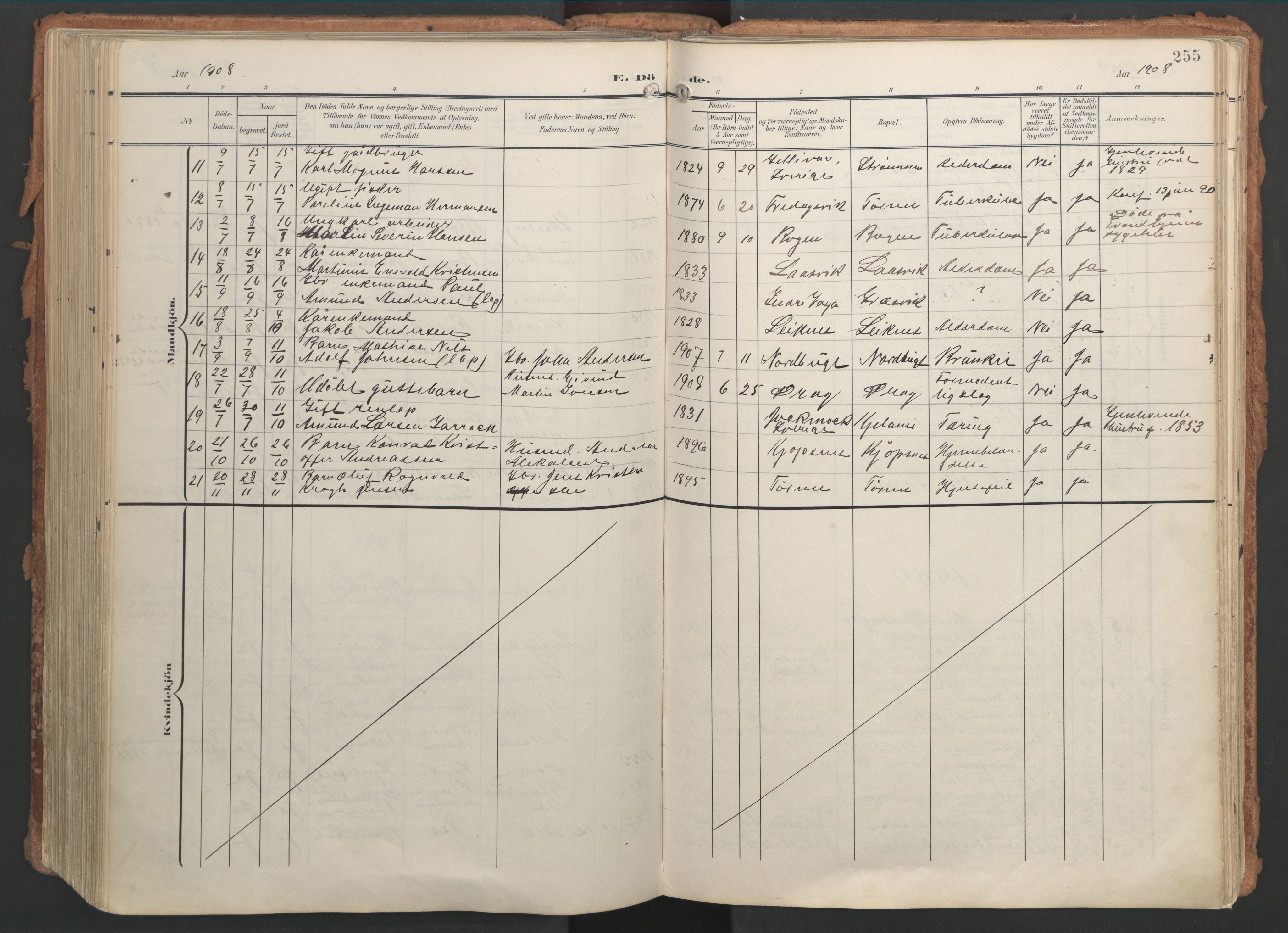 Ministerialprotokoller, klokkerbøker og fødselsregistre - Nordland, AV/SAT-A-1459/861/L0871: Parish register (official) no. 861A06, 1903-1916, p. 255