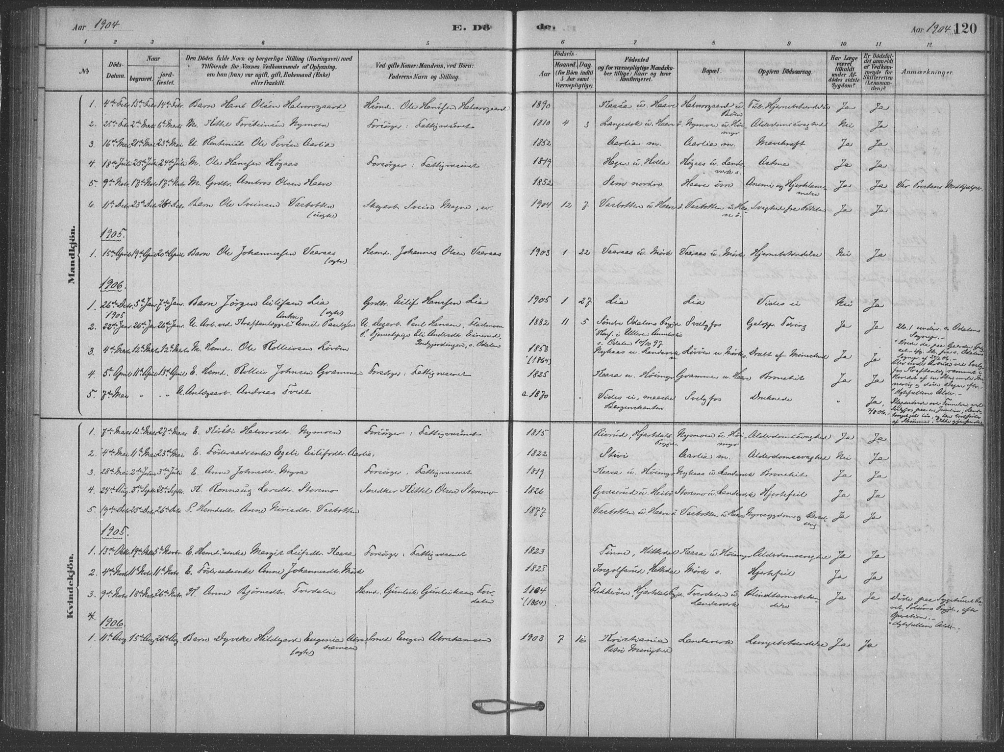Heddal kirkebøker, SAKO/A-268/F/Fb/L0002: Parish register (official) no. II 2, 1878-1913, p. 120