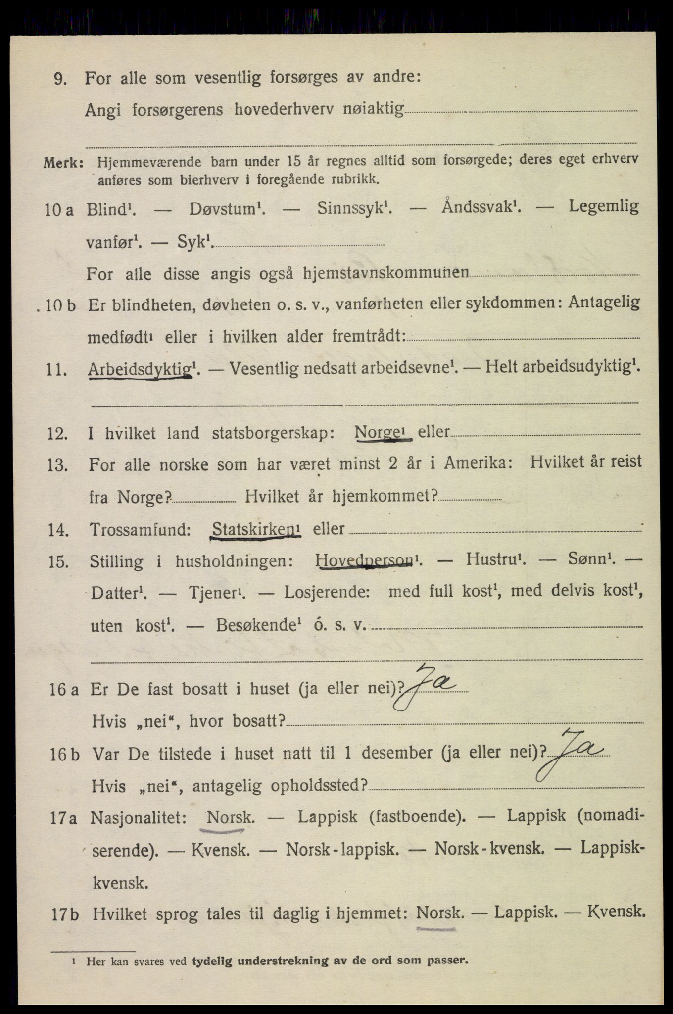 SAT, 1920 census for Bø, 1920, p. 3191