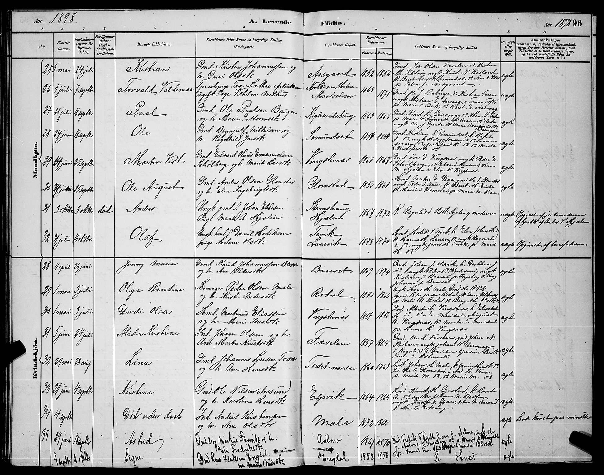 Ministerialprotokoller, klokkerbøker og fødselsregistre - Møre og Romsdal, AV/SAT-A-1454/578/L0909: Parish register (copy) no. 578C02, 1882-1900, p. 96