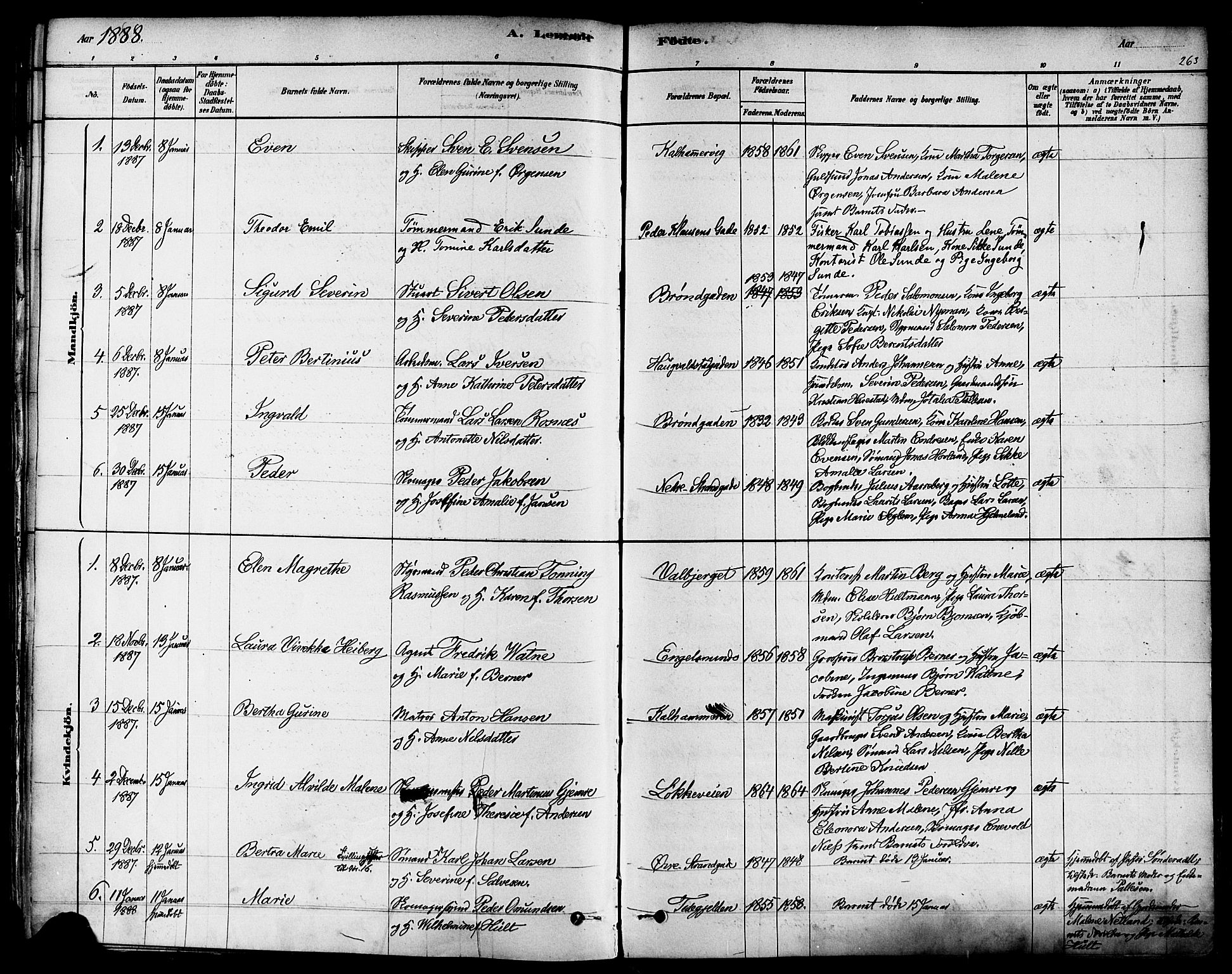 Domkirken sokneprestkontor, SAST/A-101812/001/30/30BA/L0026: Parish register (official) no. A 25, 1878-1889, p. 263