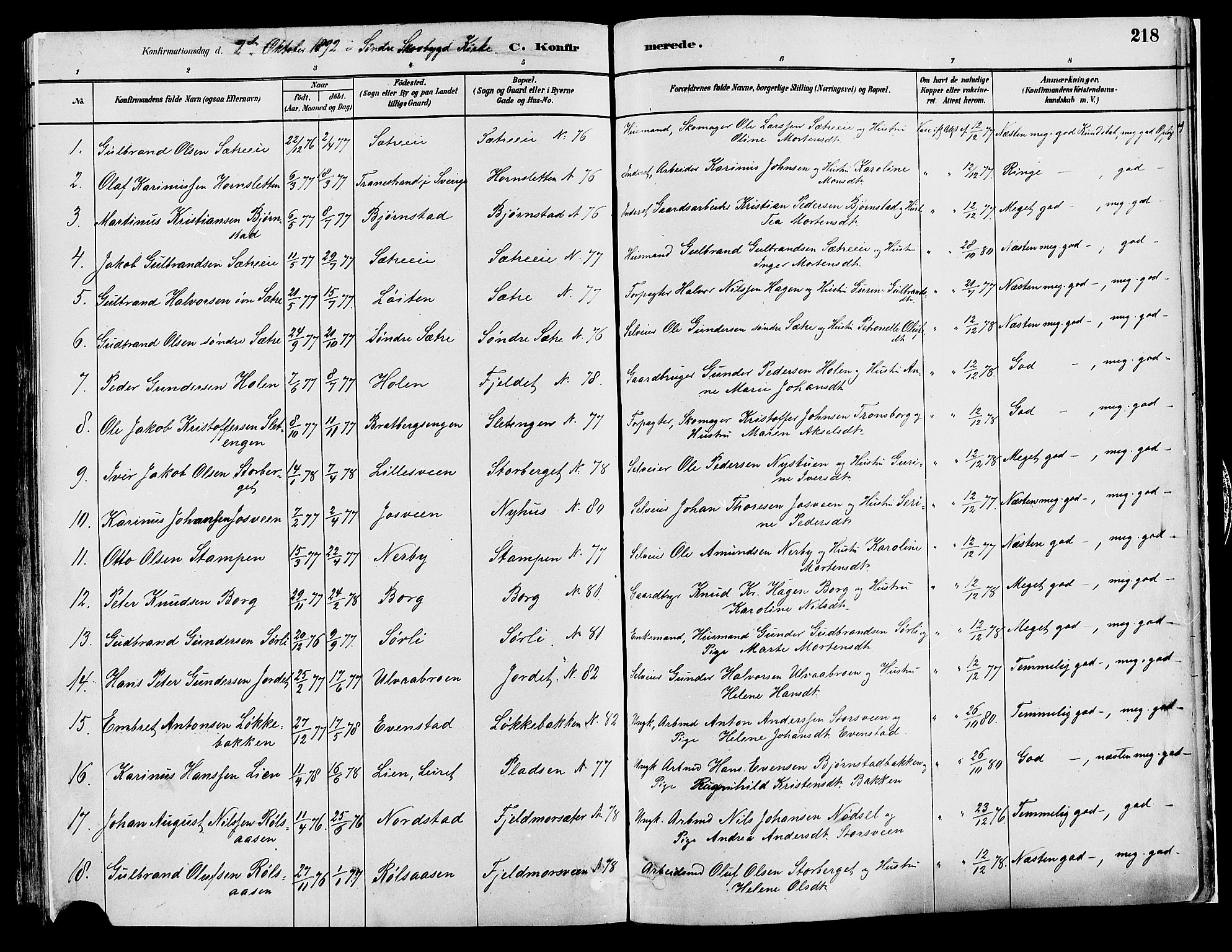 Elverum prestekontor, AV/SAH-PREST-044/H/Ha/Haa/L0013: Parish register (official) no. 13, 1880-1890, p. 218