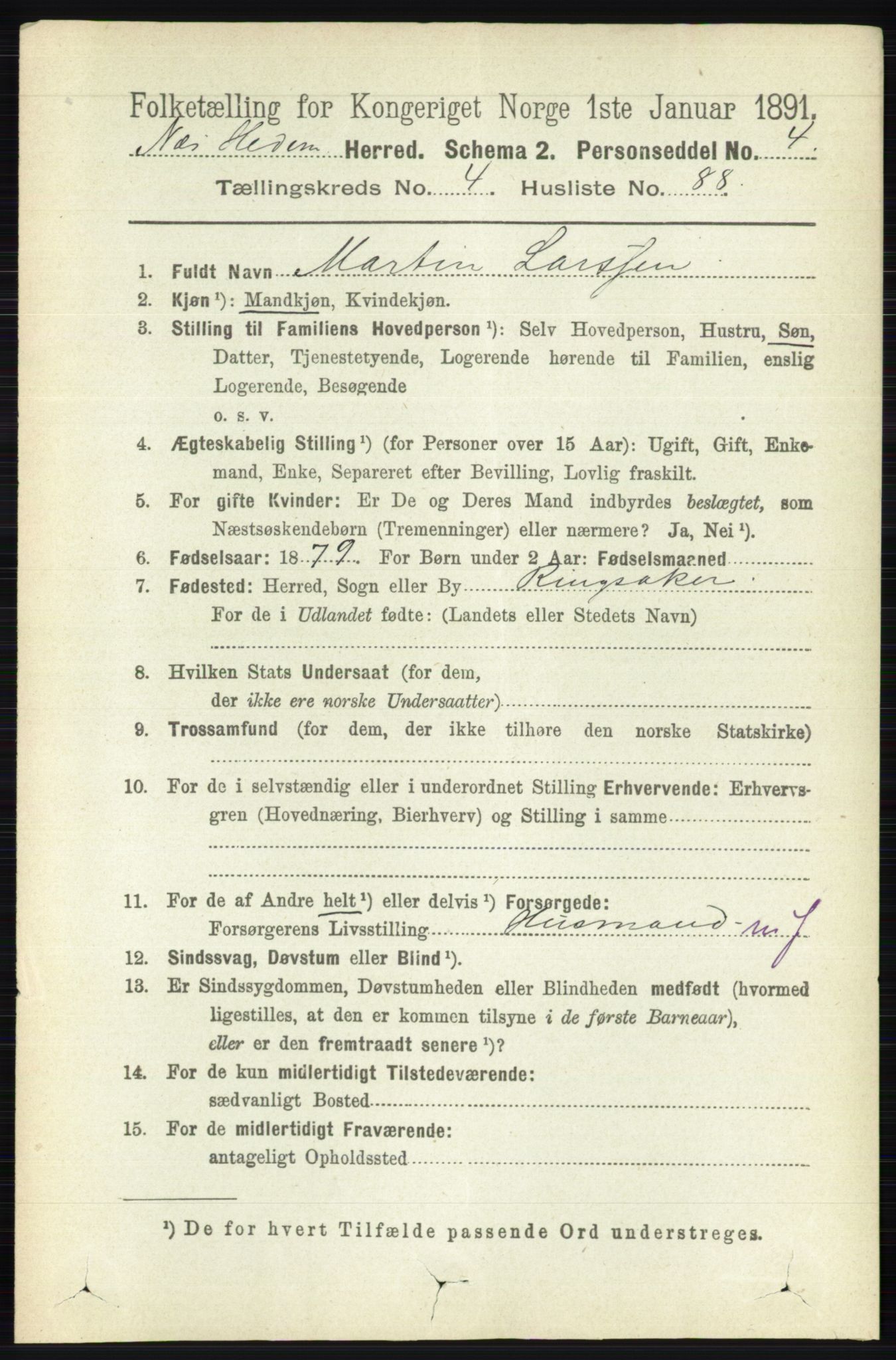 RA, 1891 census for 0411 Nes, 1891, p. 2514