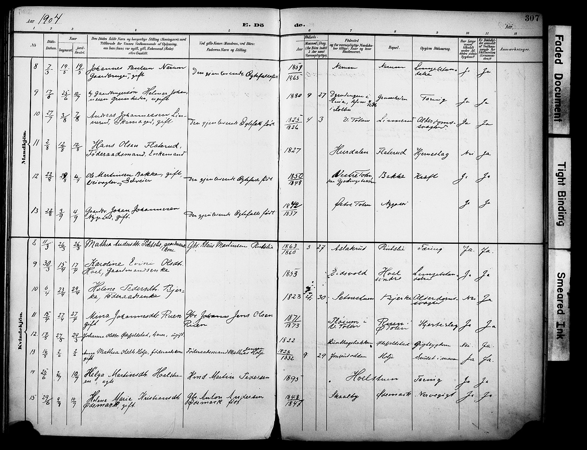 Vestre Toten prestekontor, SAH/PREST-108/H/Ha/Haa/L0013: Parish register (official) no. 13, 1895-1911, p. 307