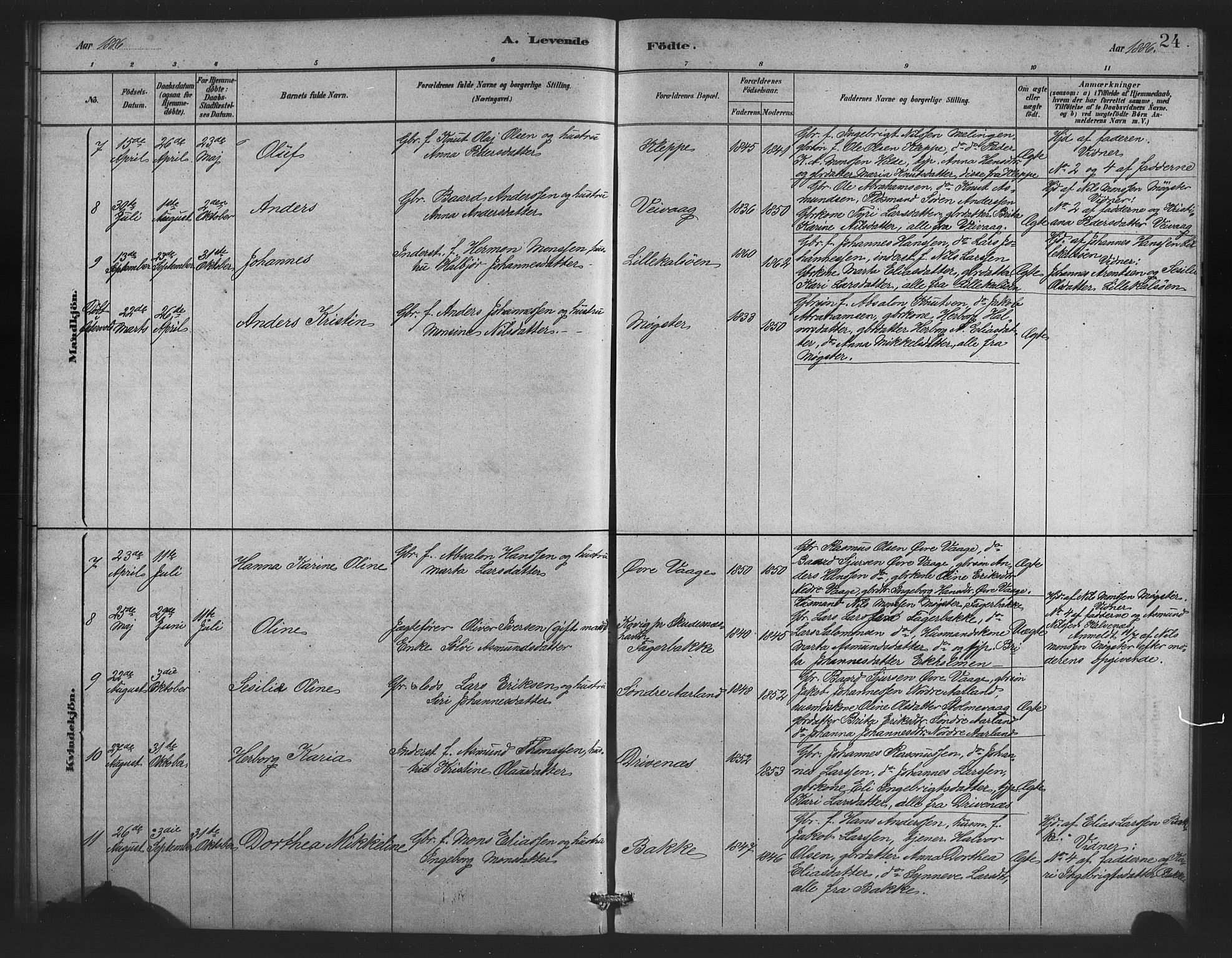 Austevoll sokneprestembete, AV/SAB-A-74201/H/Ha/Hab/Habb/L0003: Parish register (copy) no. B 3, 1879-1888, p. 24