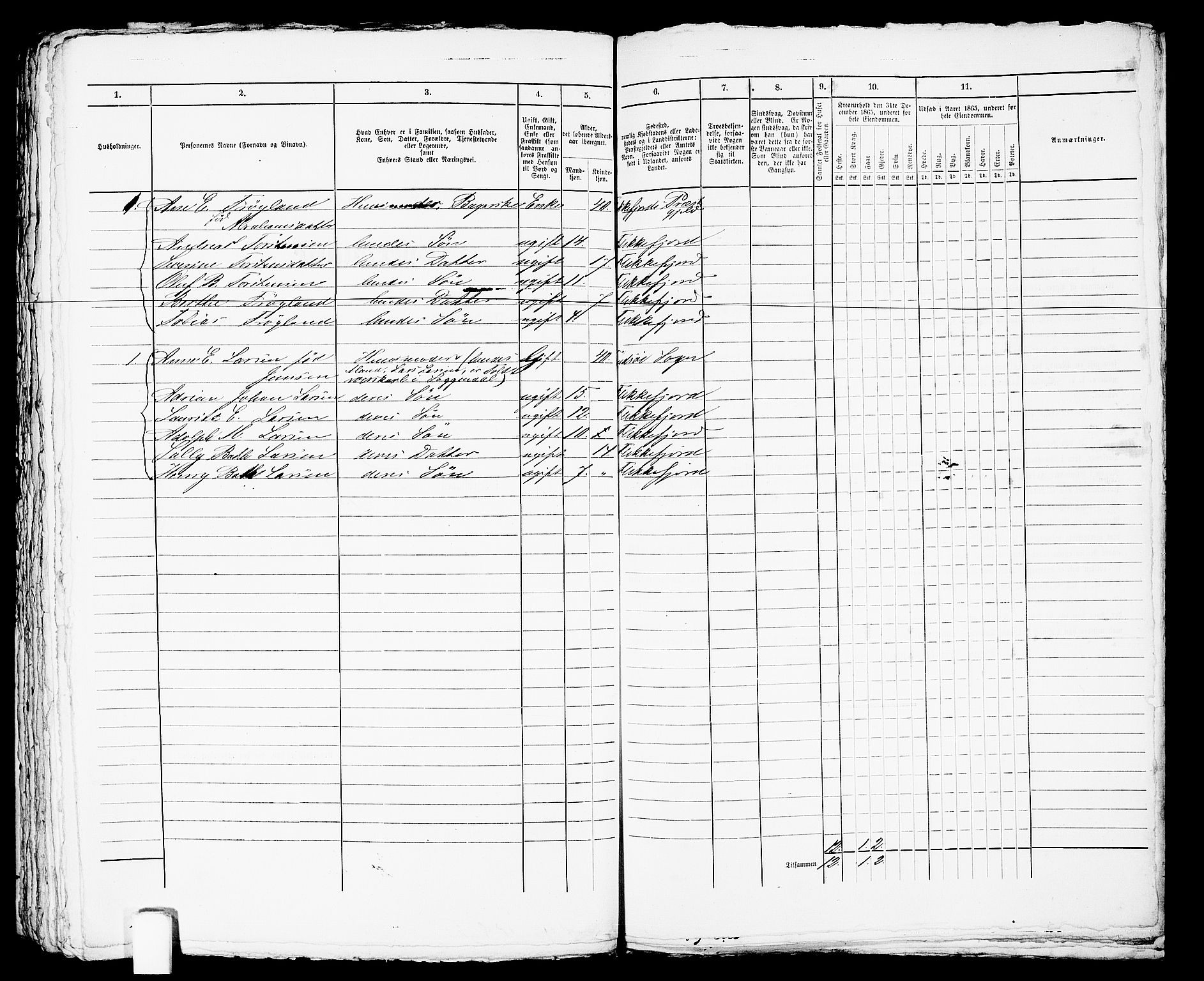 RA, 1865 census for Flekkefjord/Flekkefjord, 1865, p. 463