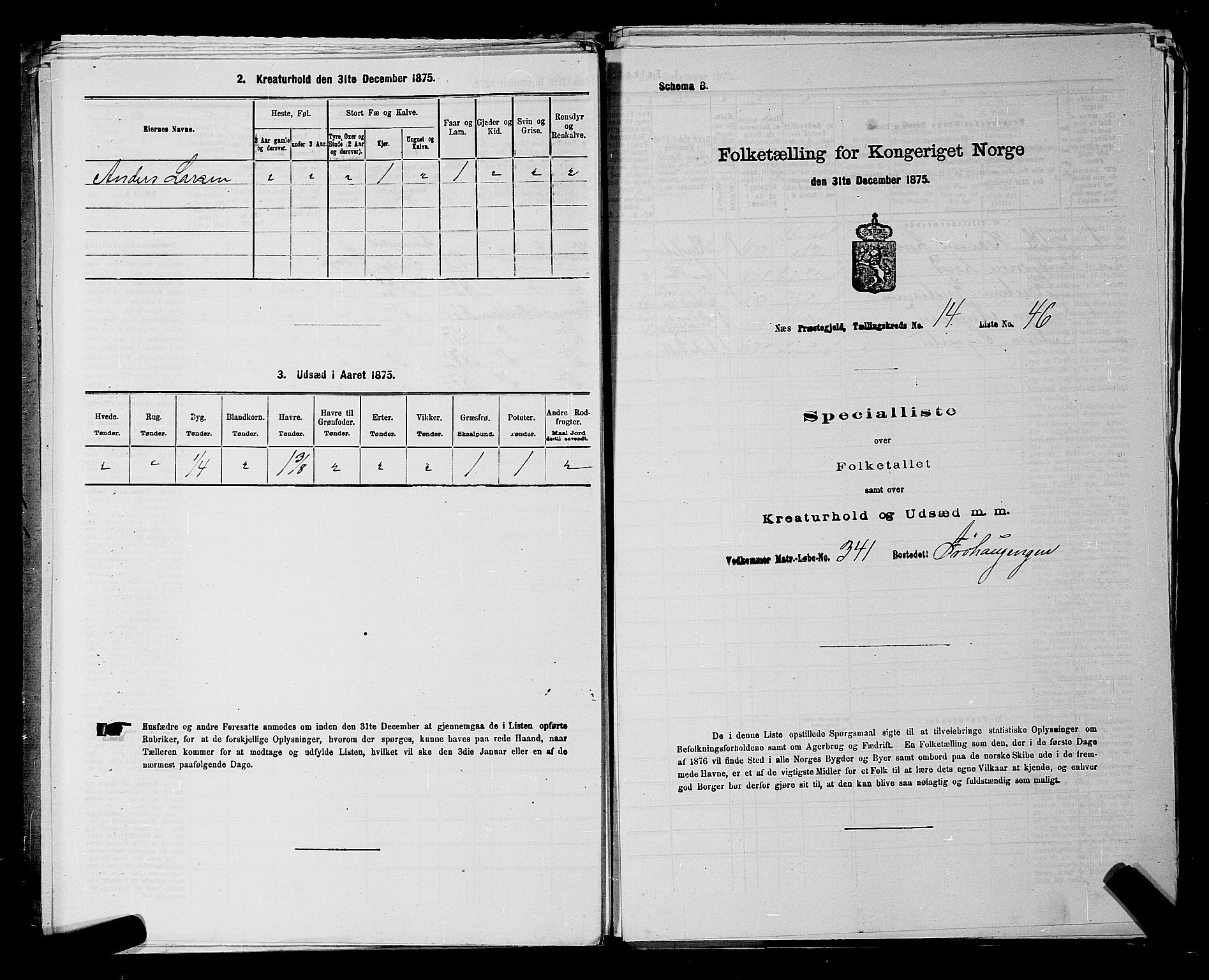 RA, 1875 census for 0236P Nes, 1875, p. 2591