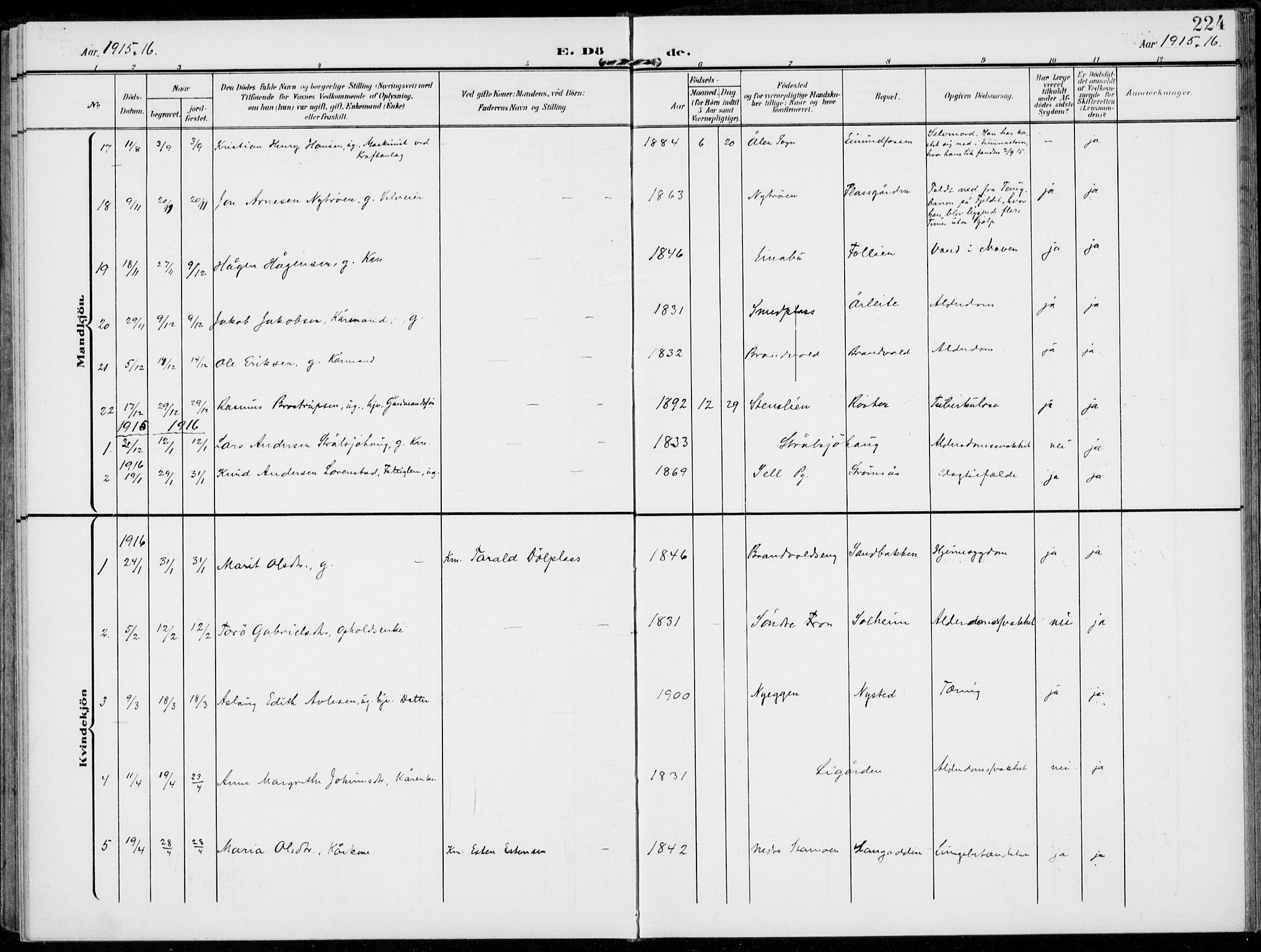 Alvdal prestekontor, AV/SAH-PREST-060/H/Ha/Haa/L0004: Parish register (official) no. 4, 1907-1919, p. 224