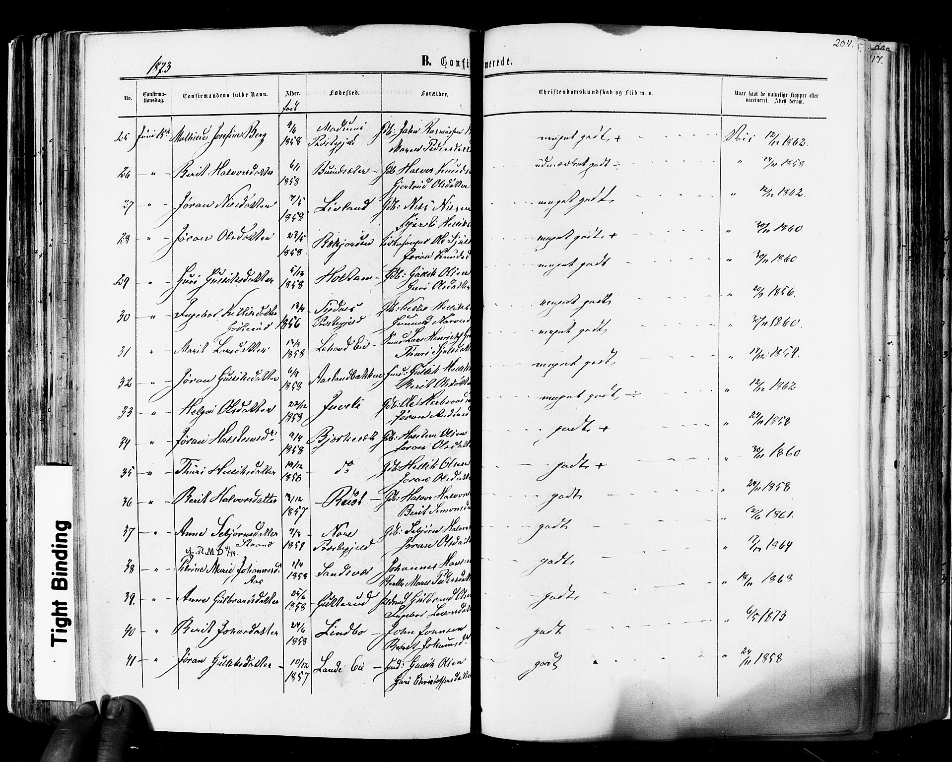Flesberg kirkebøker, SAKO/A-18/F/Fa/L0007: Parish register (official) no. I 7, 1861-1878, p. 204