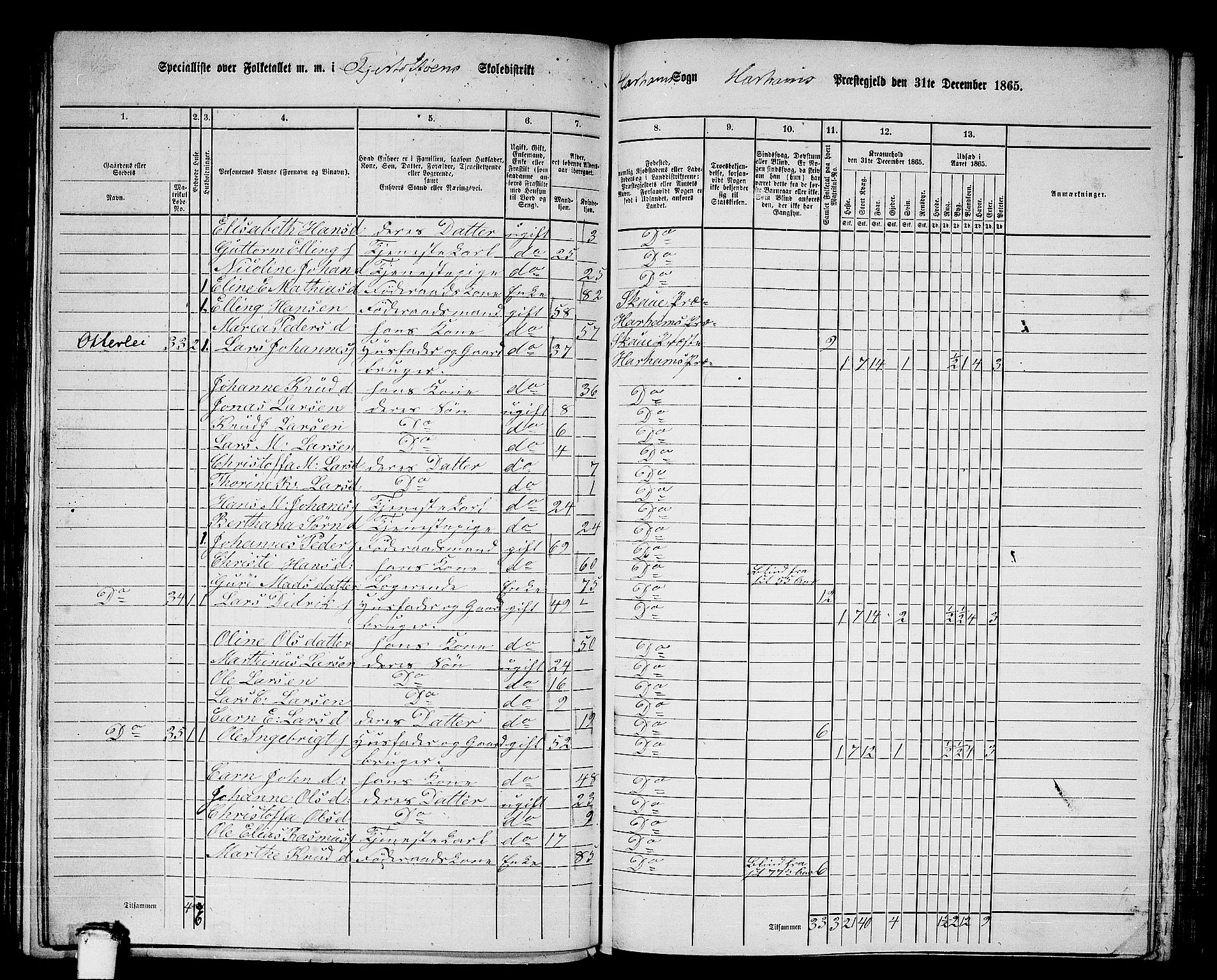 RA, 1865 census for Haram, 1865, p. 17