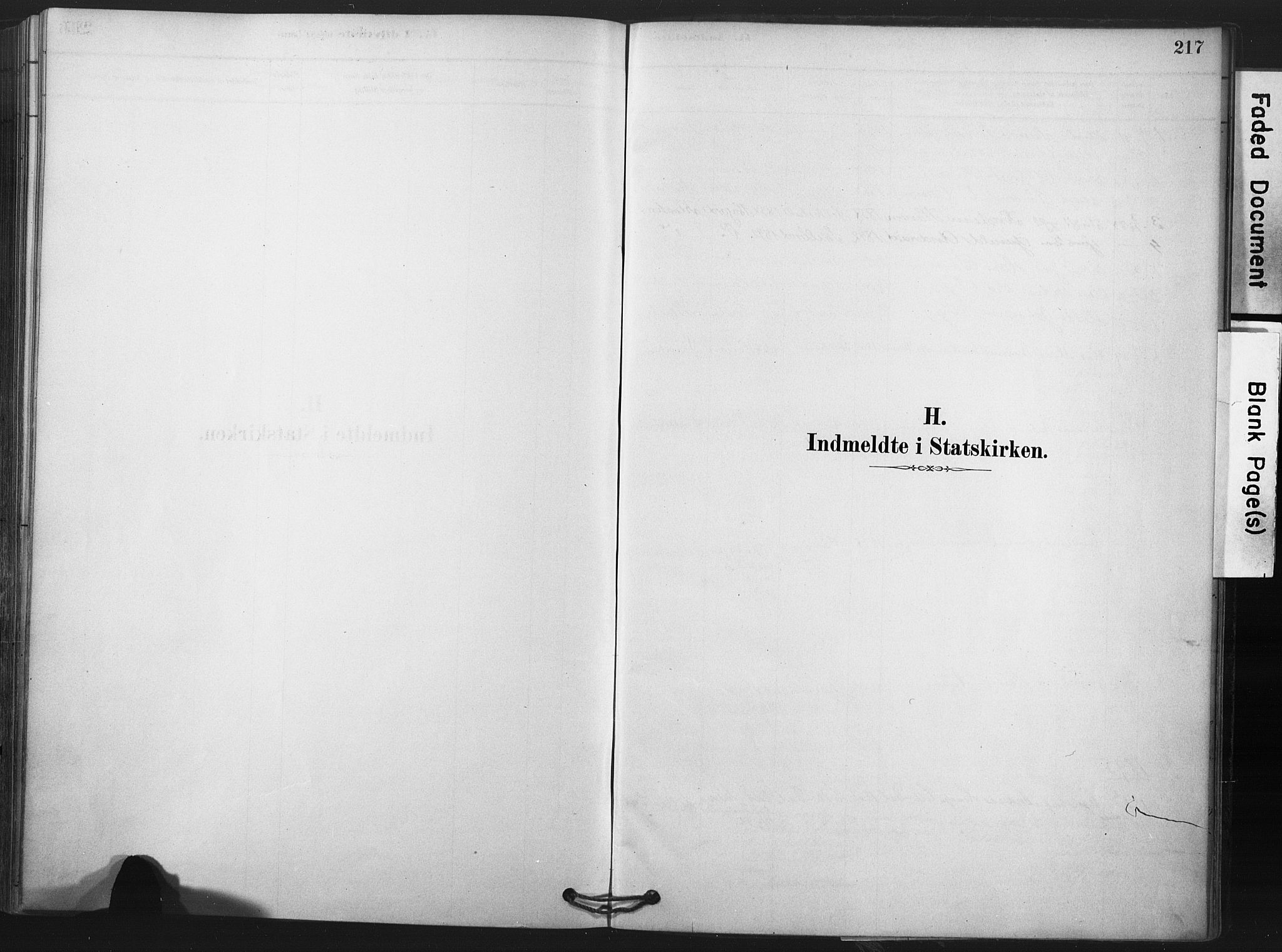 Andebu kirkebøker, AV/SAKO-A-336/F/Fa/L0009: Parish register (official) no. 9, 1878-1909, p. 217