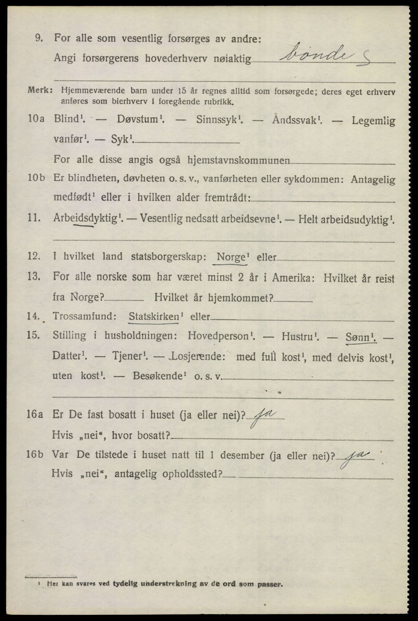 SAKO, 1920 census for Hol (Buskerud), 1920, p. 5300