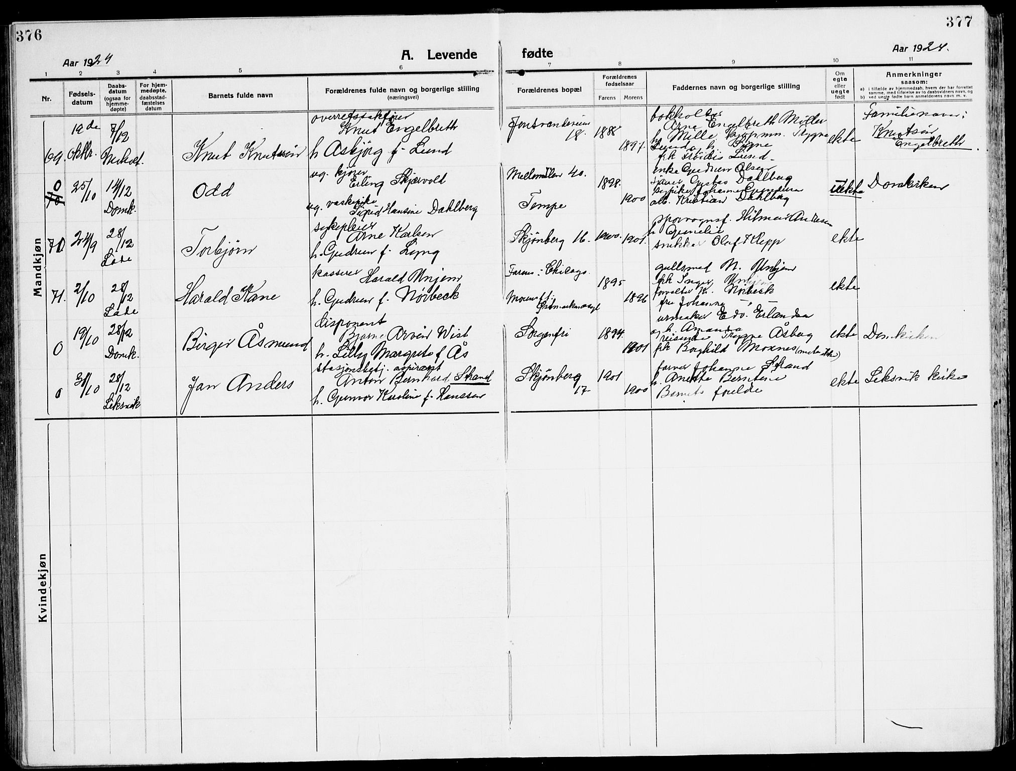 Ministerialprotokoller, klokkerbøker og fødselsregistre - Sør-Trøndelag, AV/SAT-A-1456/607/L0321: Parish register (official) no. 607A05, 1916-1935, p. 376-377