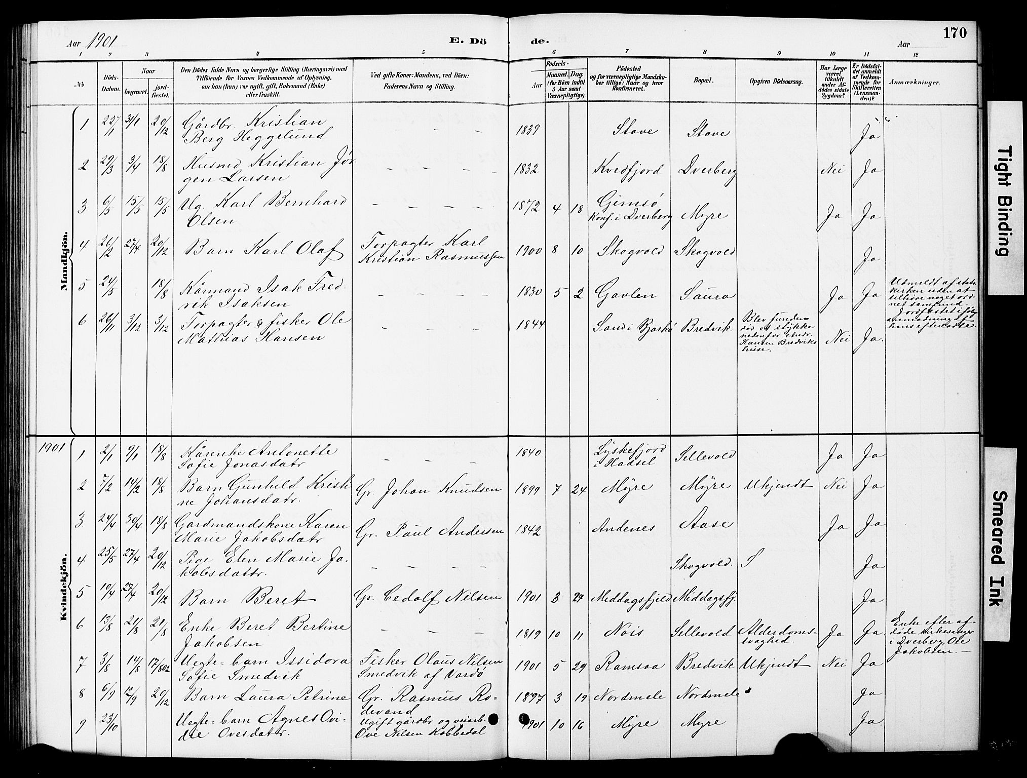 Ministerialprotokoller, klokkerbøker og fødselsregistre - Nordland, AV/SAT-A-1459/897/L1413: Parish register (copy) no. 897C03, 1887-1903, p. 170