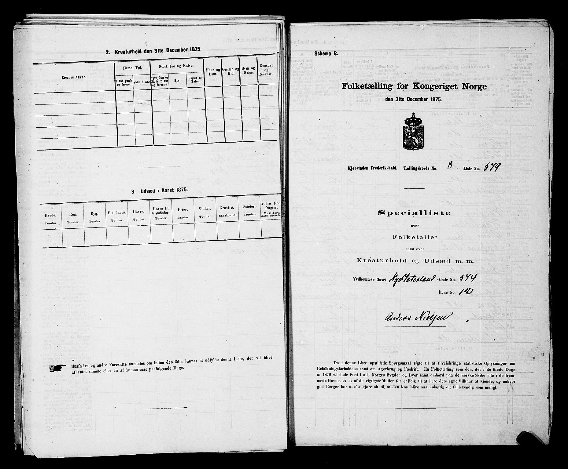 RA, 1875 census for 0101P Fredrikshald, 1875, p. 1407