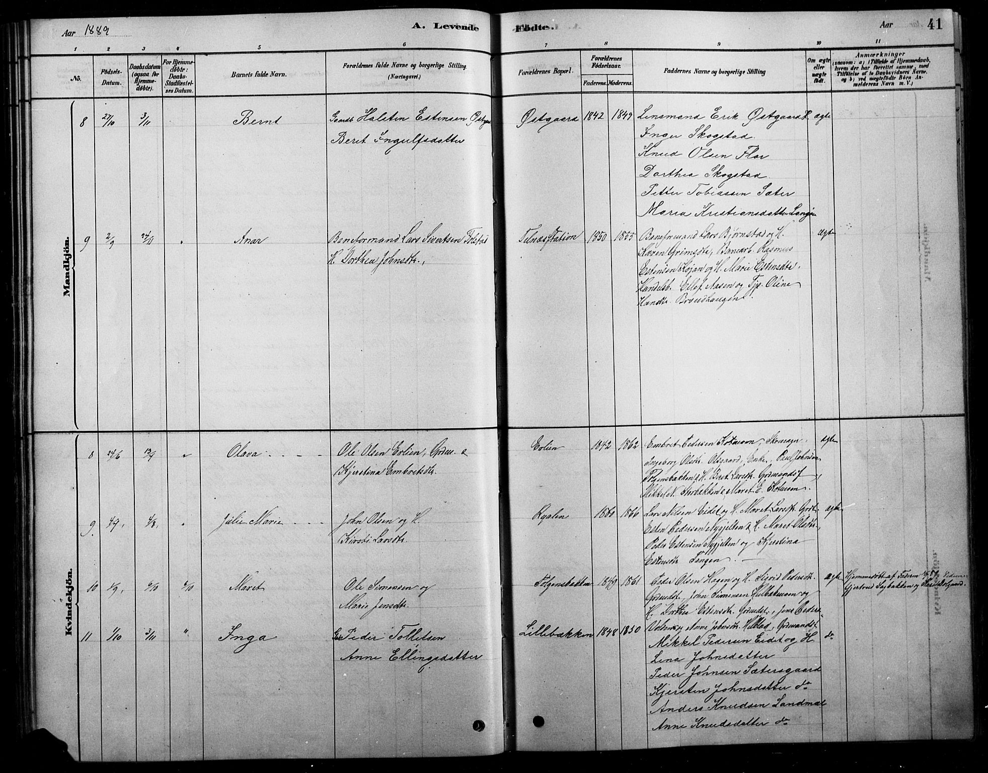 Tolga prestekontor, AV/SAH-PREST-062/L/L0007: Parish register (copy) no. 7, 1878-1919, p. 41