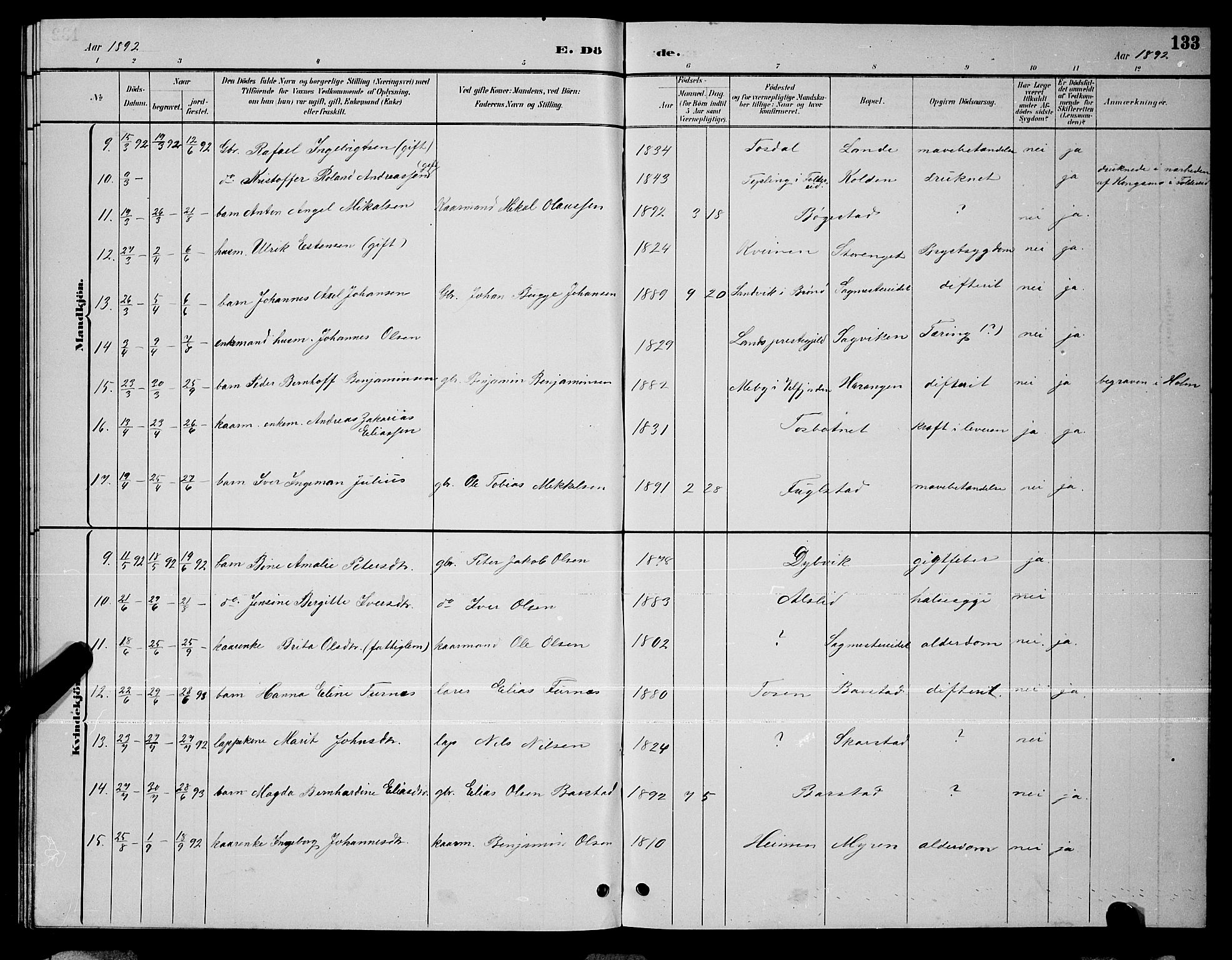 Ministerialprotokoller, klokkerbøker og fødselsregistre - Nordland, AV/SAT-A-1459/810/L0160: Parish register (copy) no. 810C03, 1884-1896, p. 133