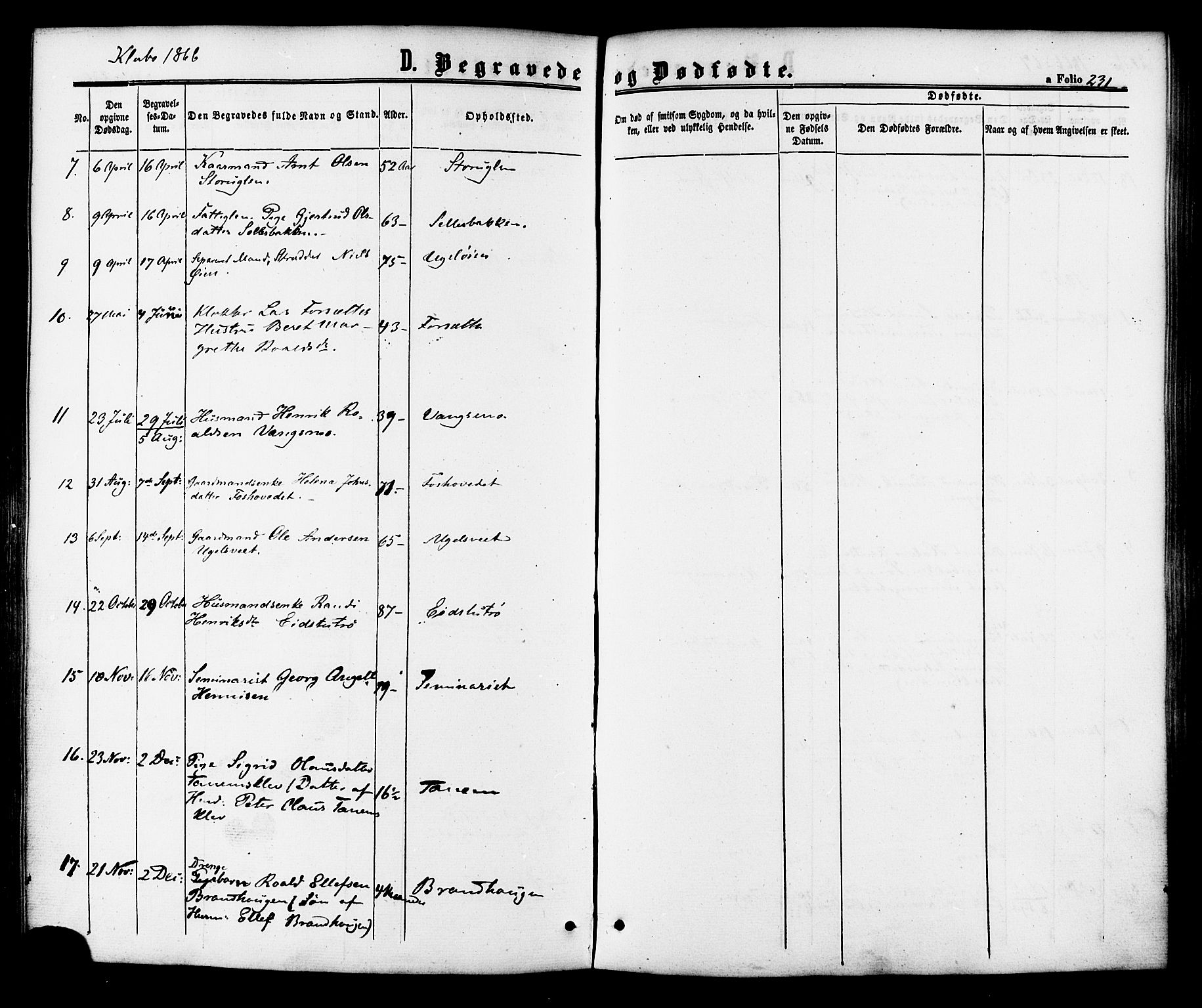 Ministerialprotokoller, klokkerbøker og fødselsregistre - Sør-Trøndelag, SAT/A-1456/618/L0442: Parish register (official) no. 618A06 /1, 1863-1879, p. 231