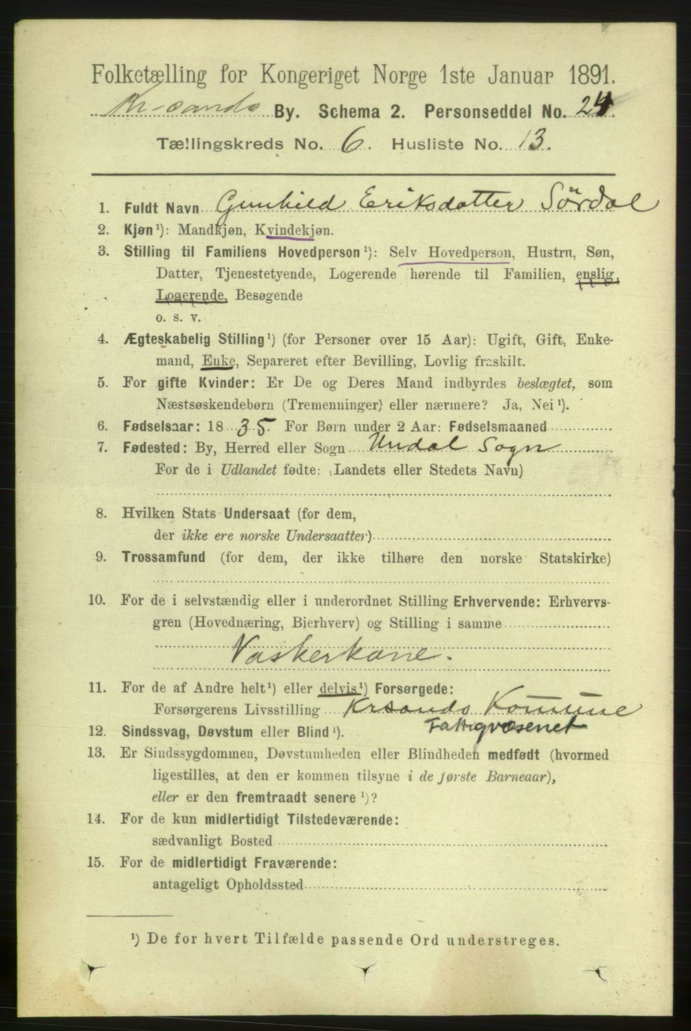 RA, 1891 census for 1001 Kristiansand, 1891, p. 4605