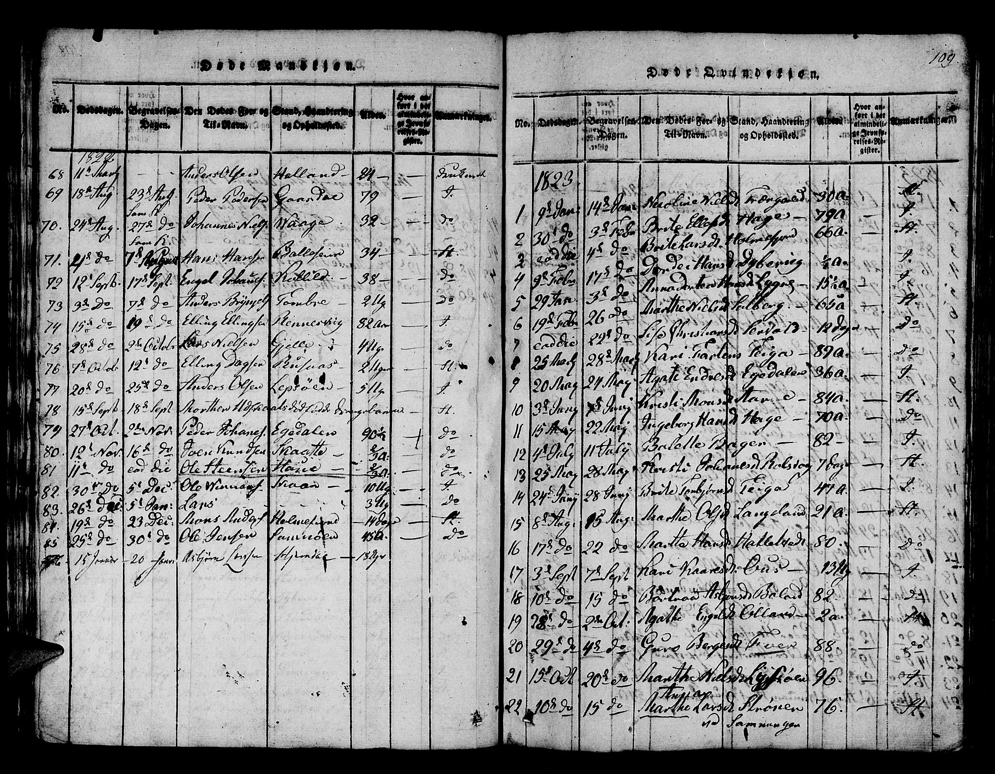 Os sokneprestembete, AV/SAB-A-99929: Parish register (official) no. A 12, 1816-1825, p. 109