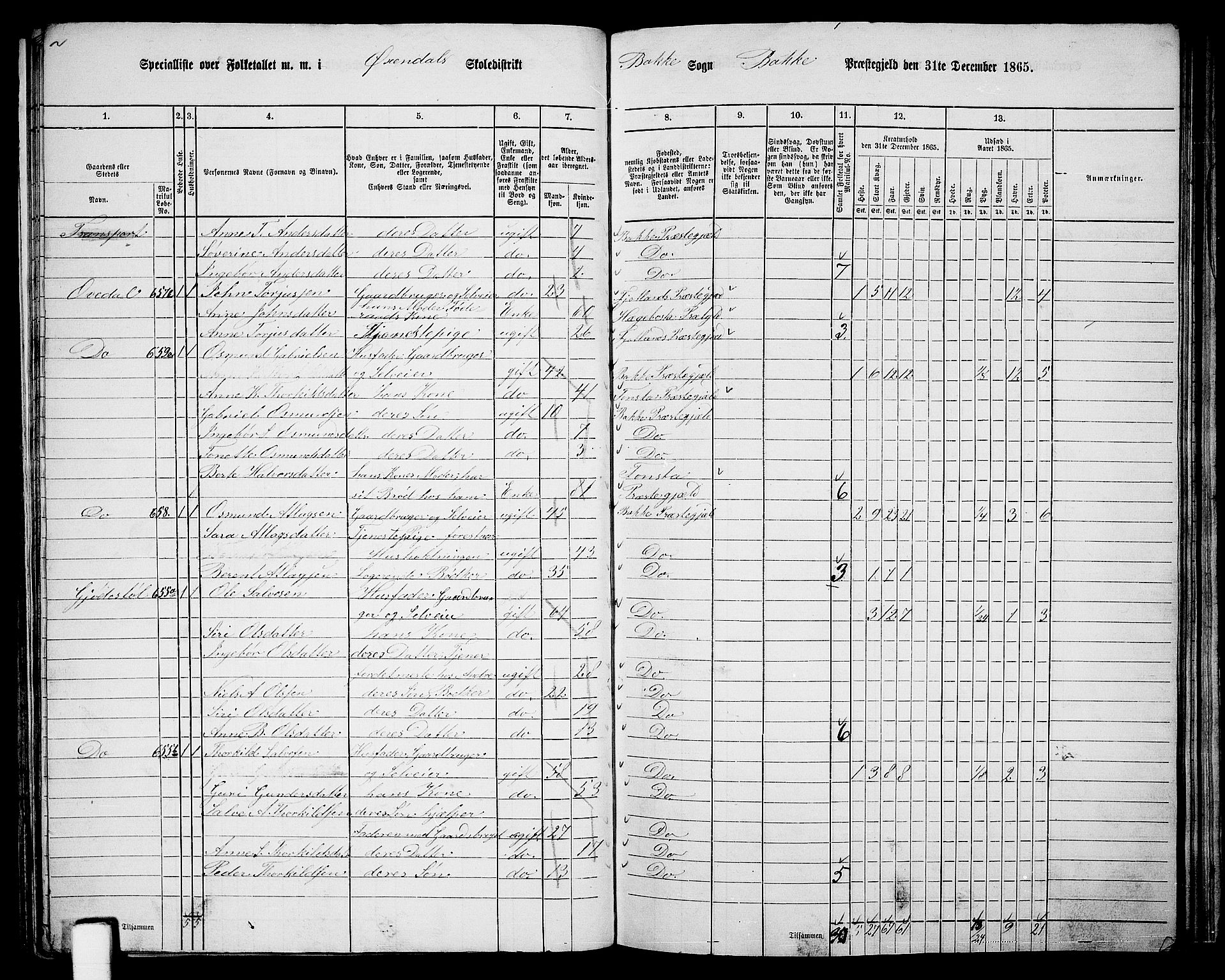 RA, 1865 census for Bakke, 1865, p. 63