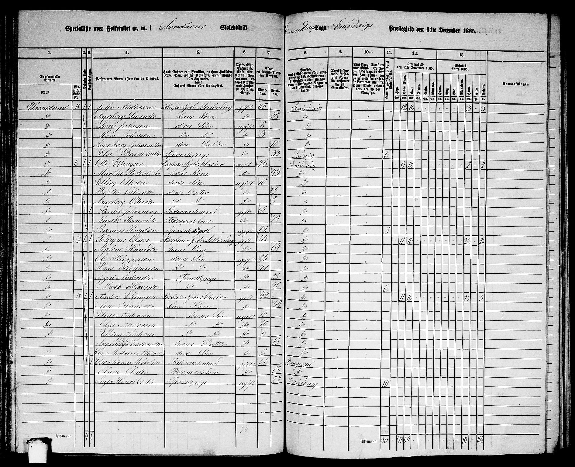 RA, 1865 census for Eivindvik, 1865, p. 89