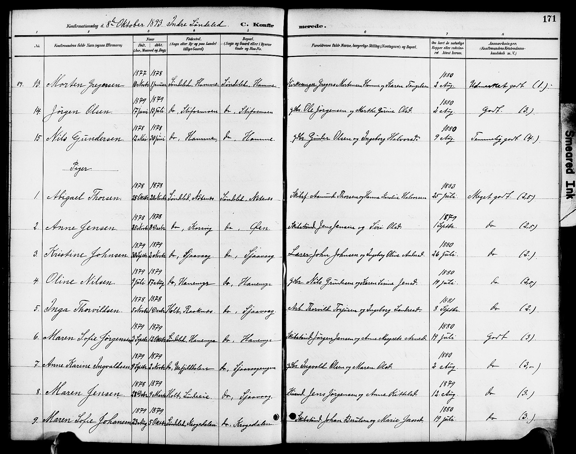 Søndeled sokneprestkontor, AV/SAK-1111-0038/F/Fa/L0005: Parish register (official) no. A 5, 1889-1899, p. 171