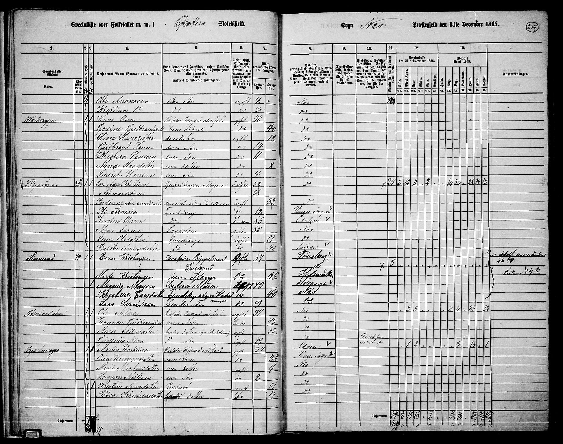 RA, 1865 census for Nes, 1865, p. 217