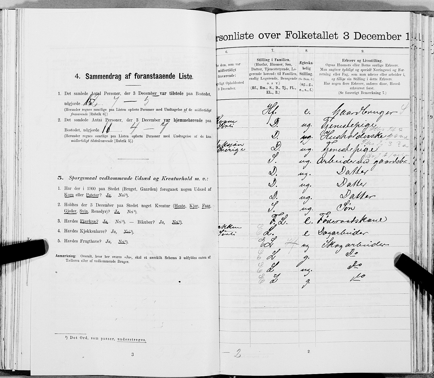 SAT, 1900 census for Lierne, 1900, p. 612