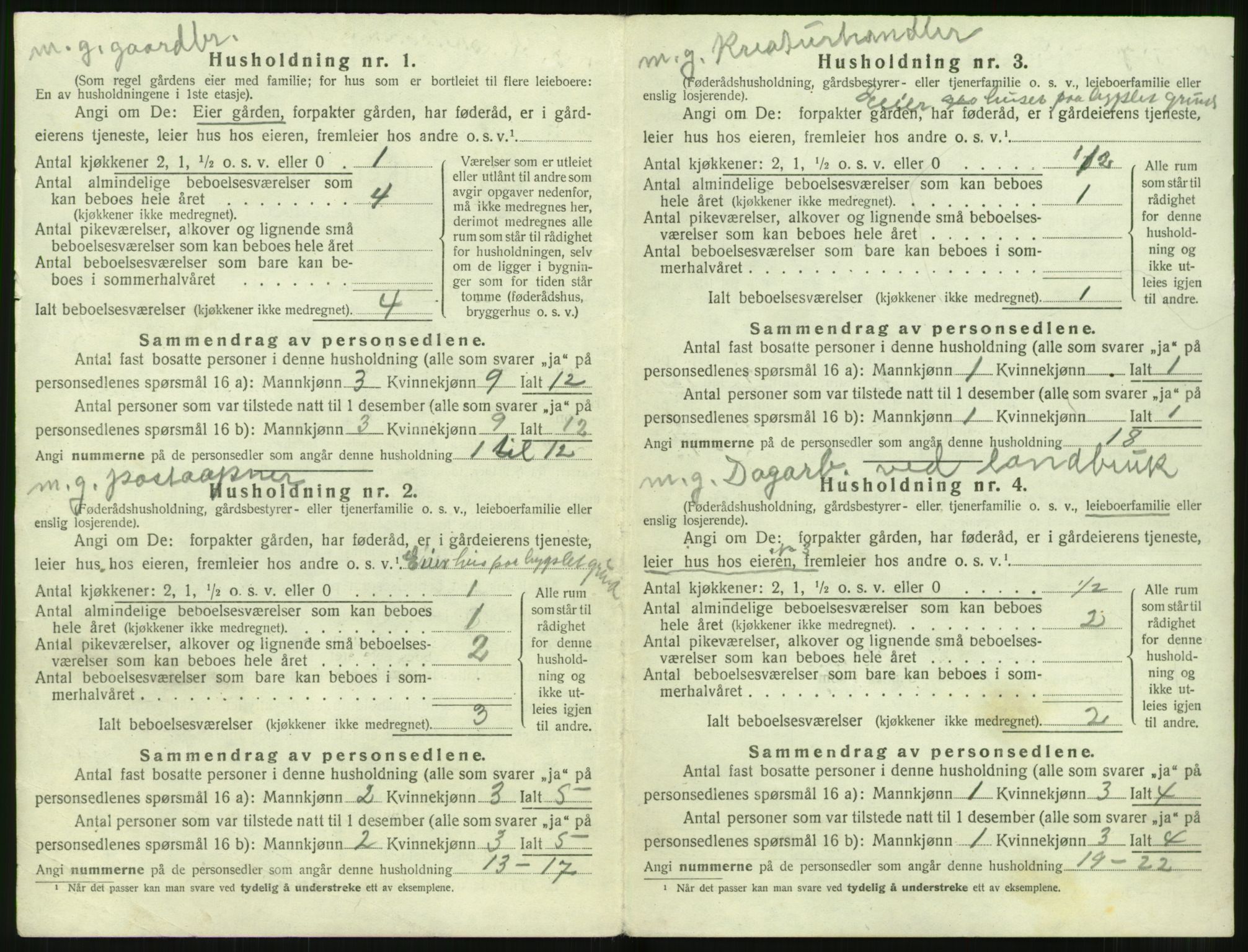 SAT, 1920 census for Sunnylven, 1920, p. 119