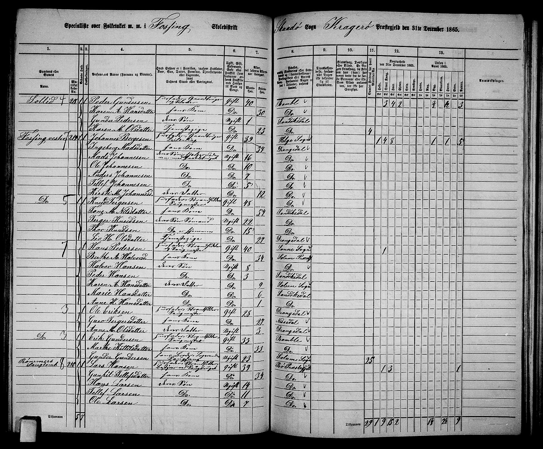 RA, 1865 census for Kragerø/Sannidal og Skåtøy, 1865, p. 162