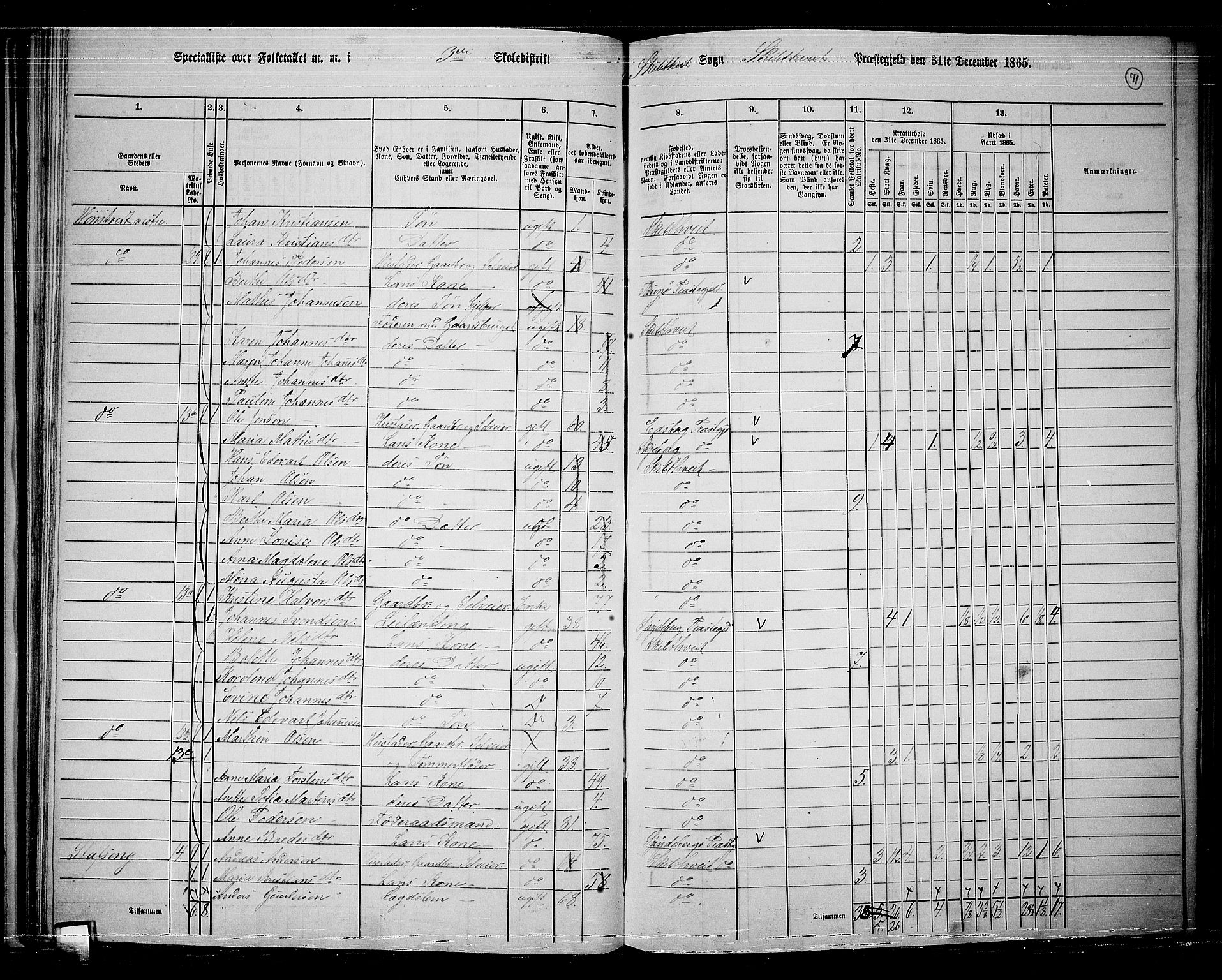 RA, 1865 census for Skiptvet, 1865, p. 62