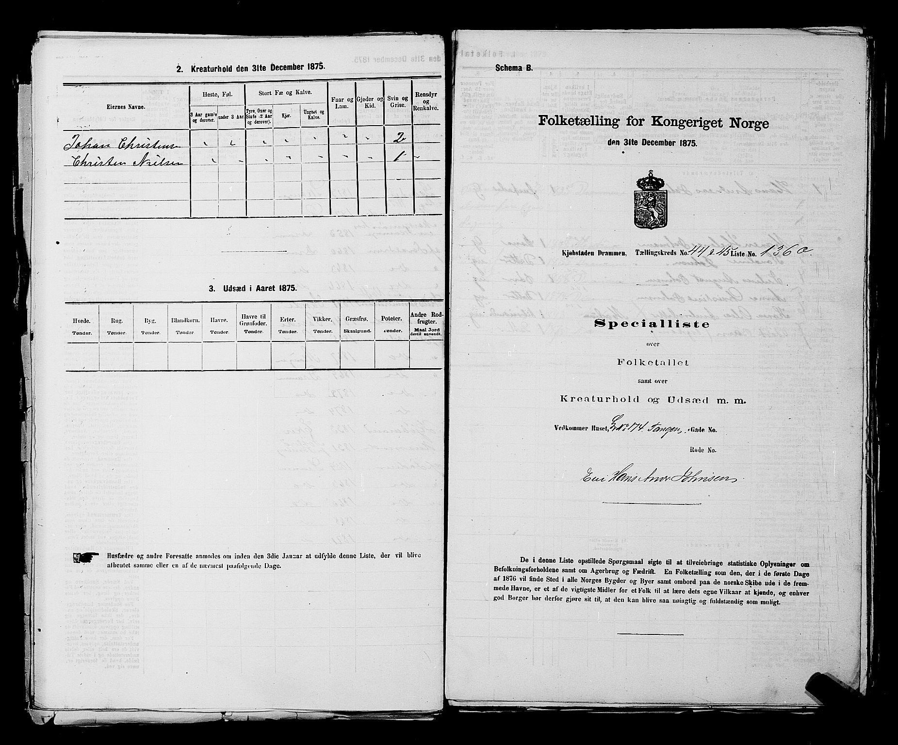 SAKO, 1875 census for 0602 Drammen, 1875, p. 3729