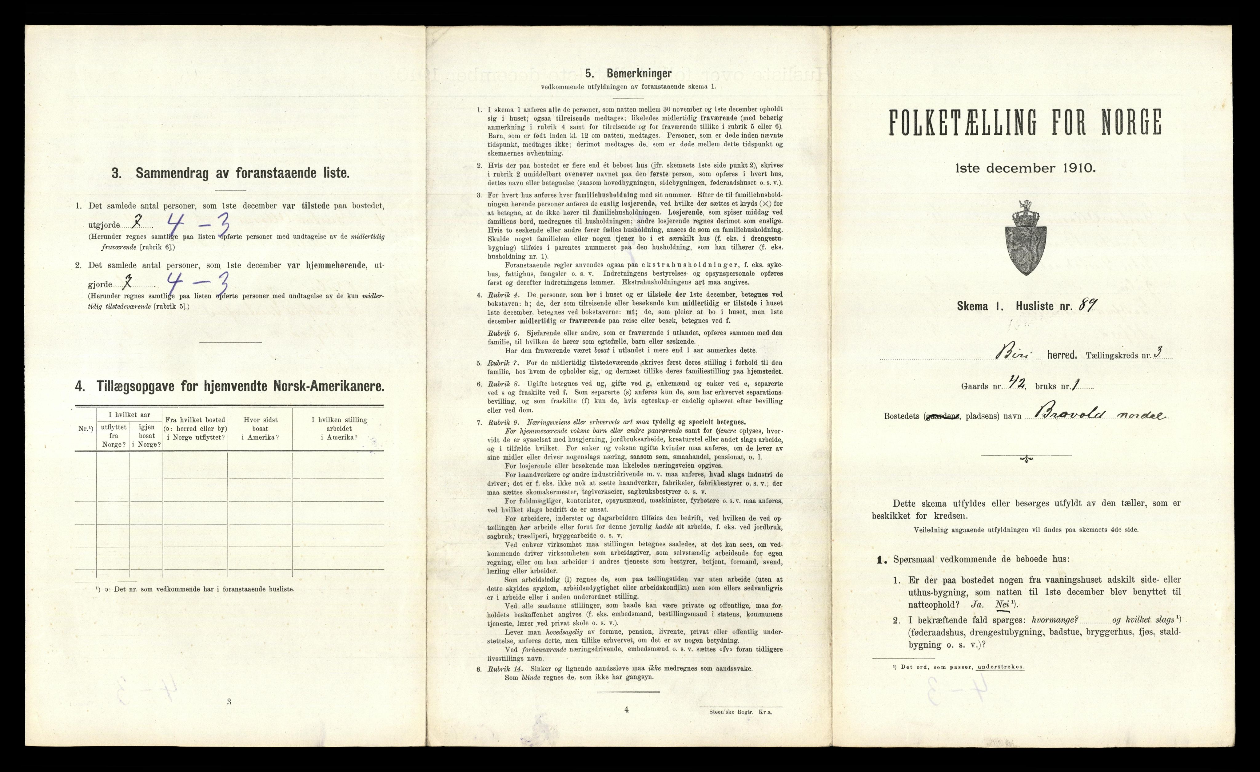 RA, 1910 census for Biri, 1910, p. 703