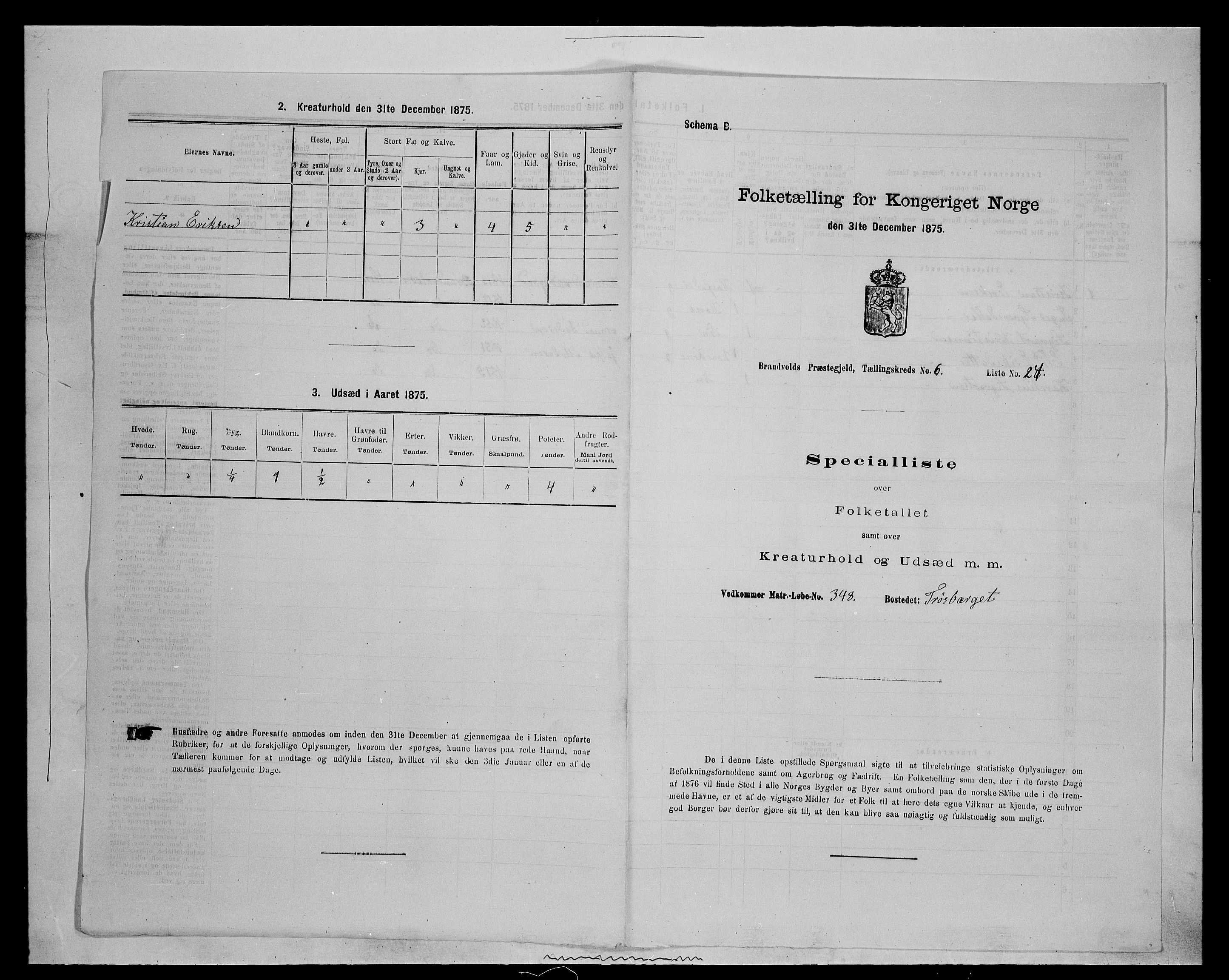 SAH, 1875 census for 0422P Brandval, 1875, p. 1058