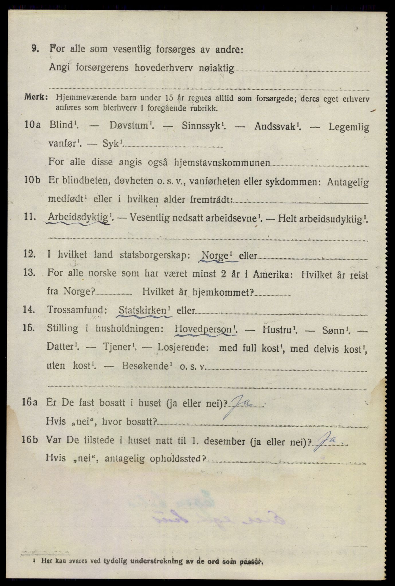 SAO, 1920 census for Nes, 1920, p. 6213