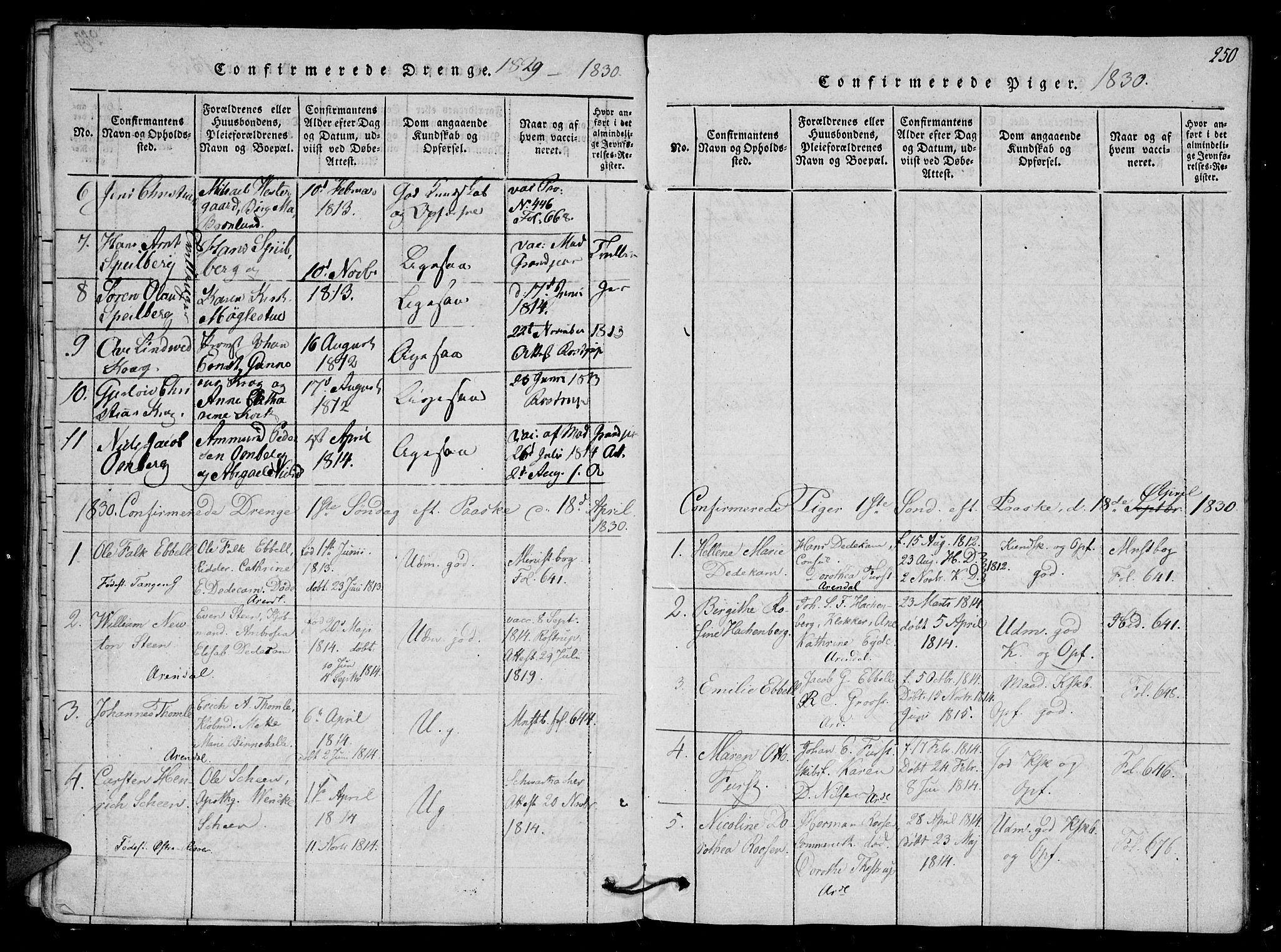 Arendal sokneprestkontor, Trefoldighet, SAK/1111-0040/F/Fb/L0001: Parish register (copy) no. B 1, 1816-1838, p. 250