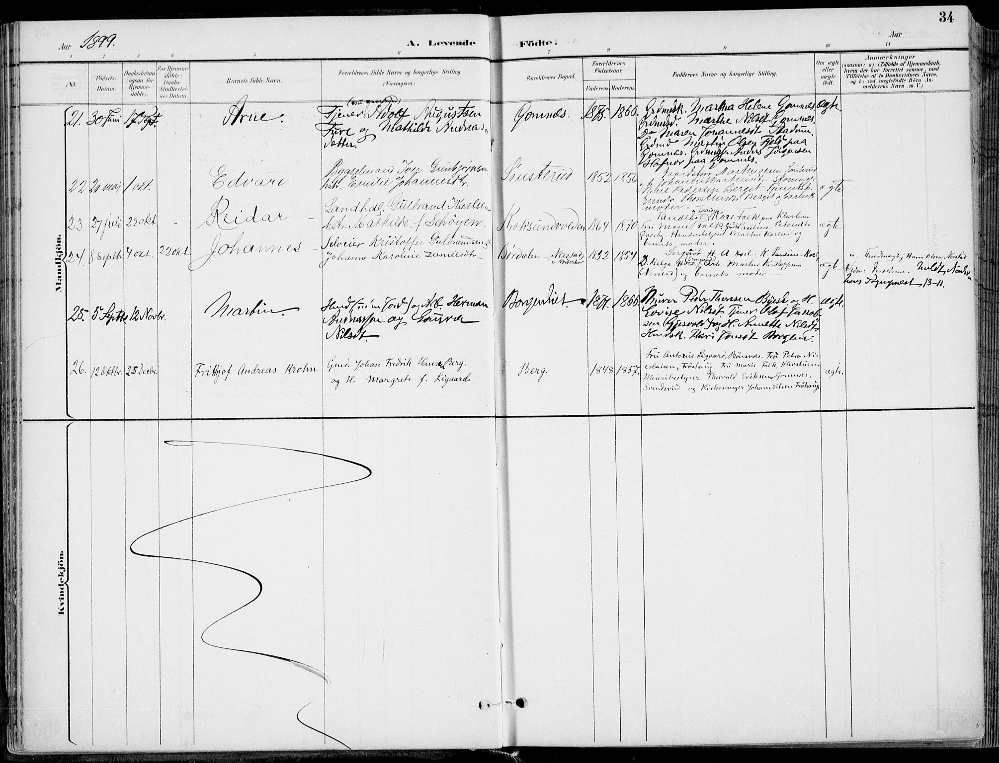 Hole kirkebøker, AV/SAKO-A-228/F/Fa/L0009: Parish register (official) no. I 9, 1892-1907, p. 34